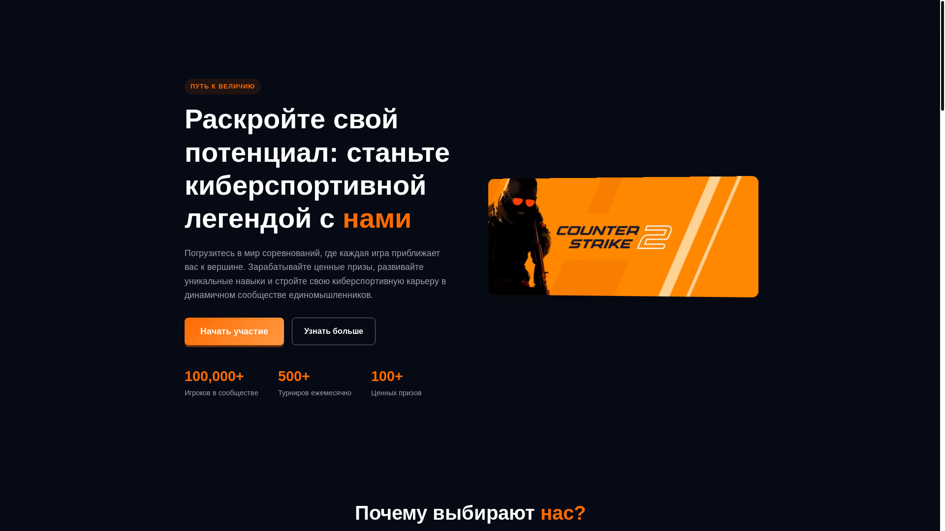 website screenshot of https://fasctdup.com/