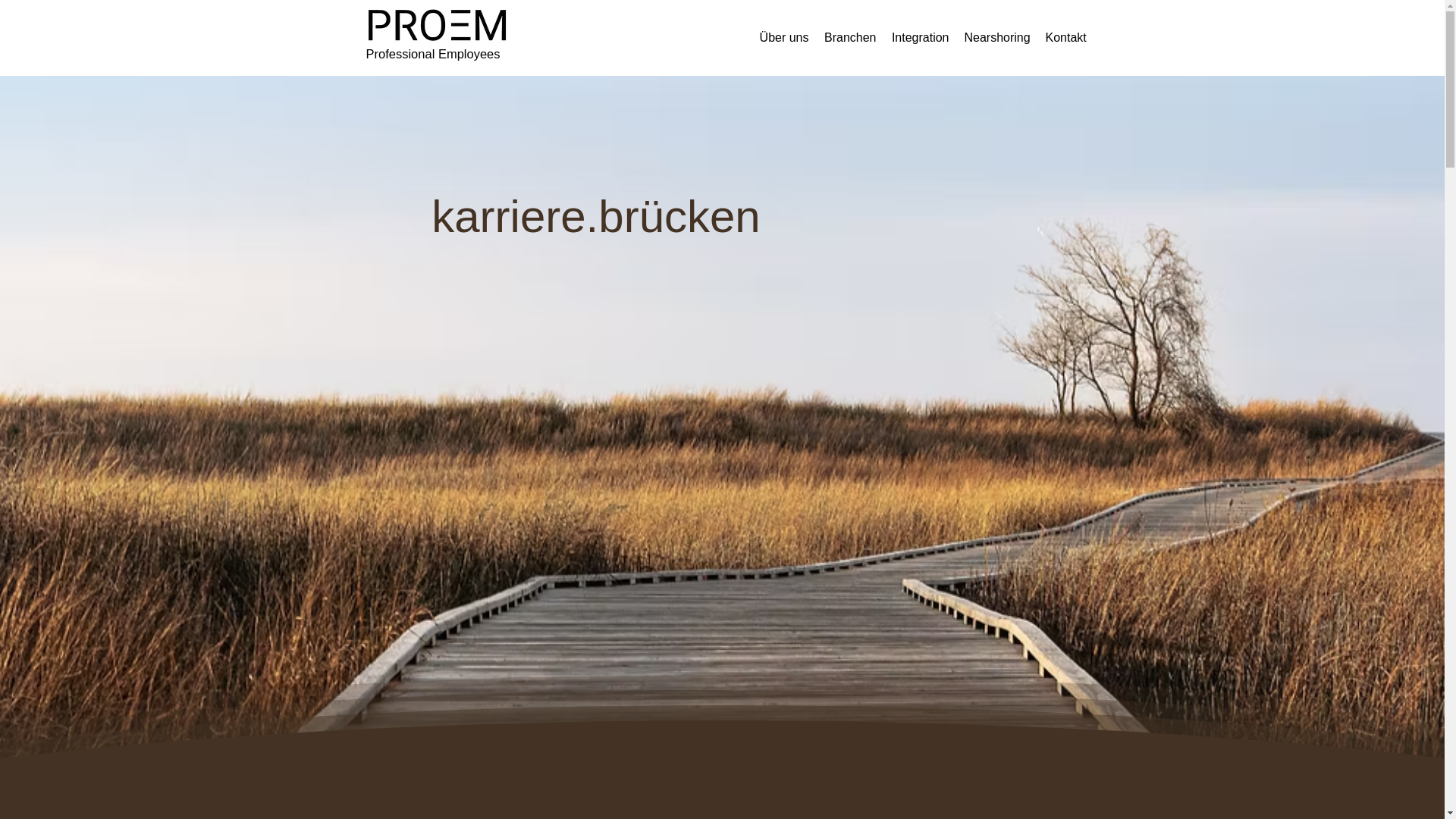 website screenshot of https://proem-group.com/