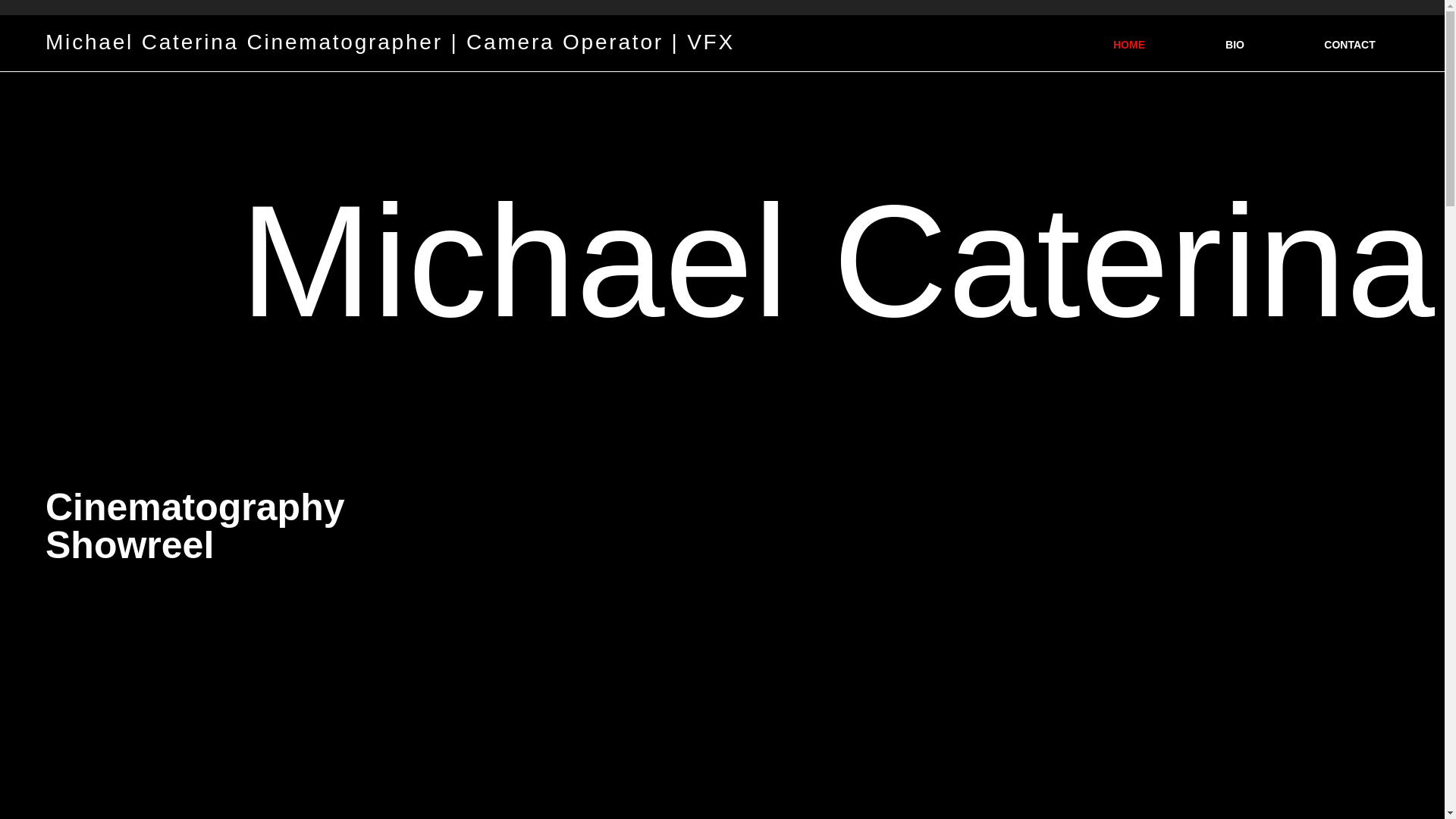 website screenshot of https://michaelcaterina.ca/