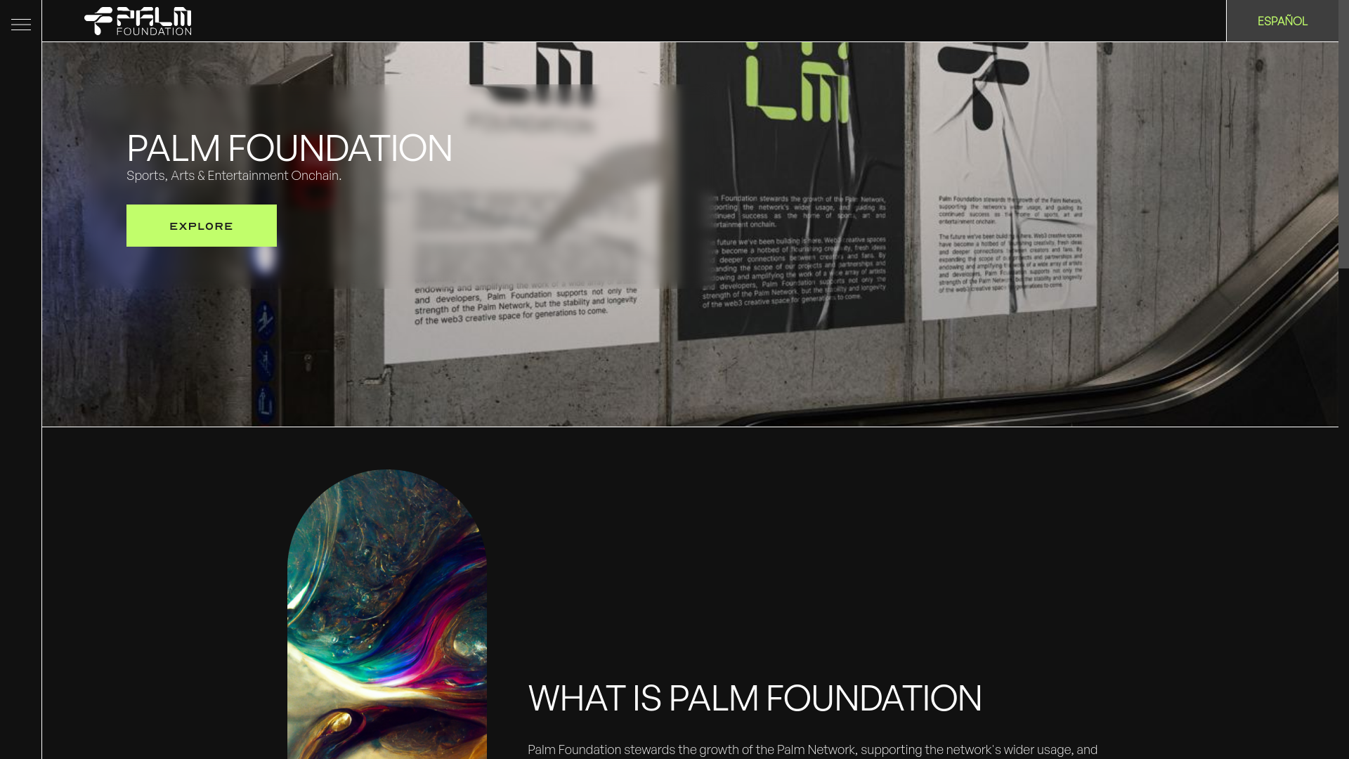 website screenshot of https://palmfoundationsite.pages.dev/