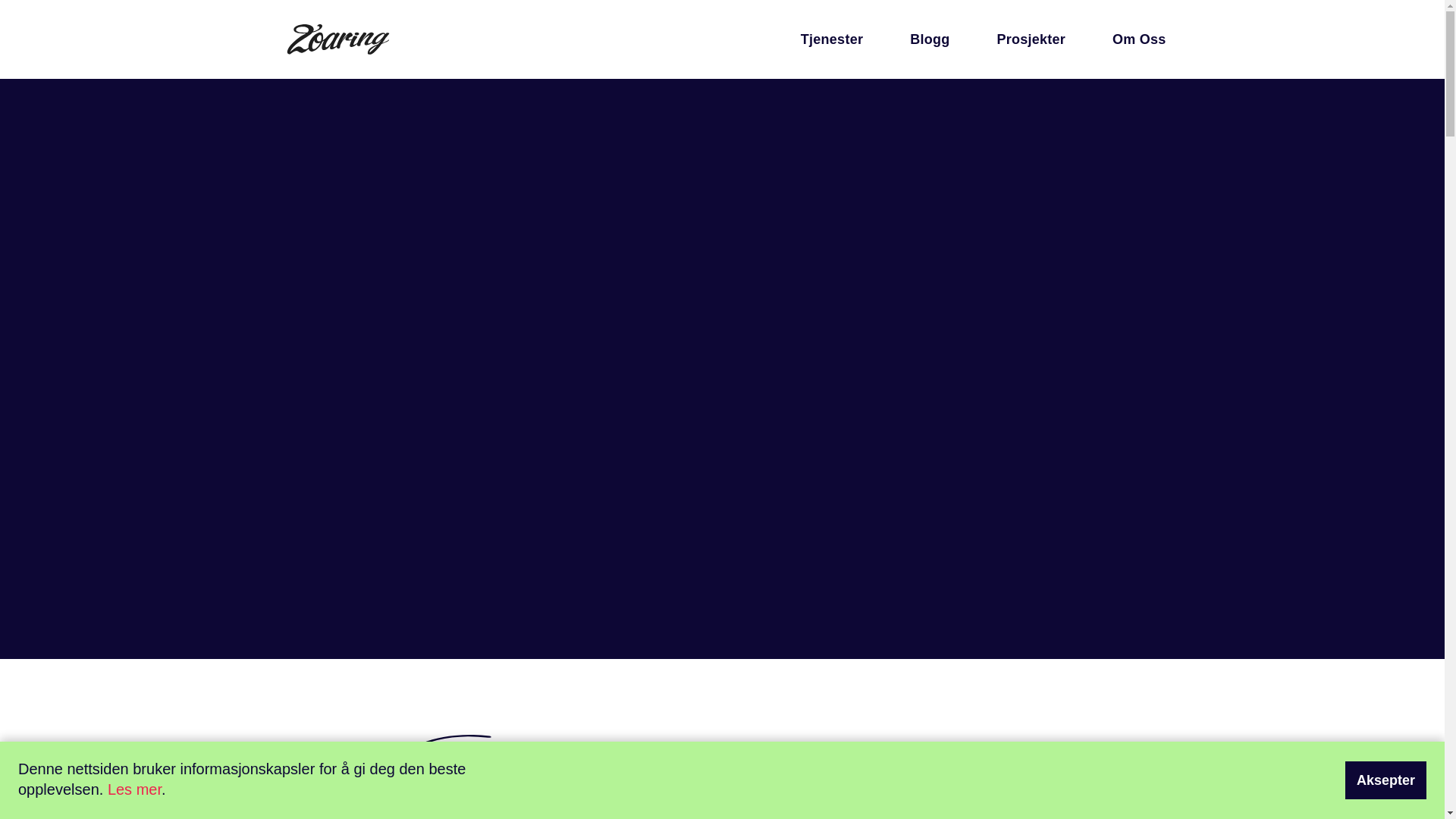 website screenshot of https://zoaringelearning.com/
