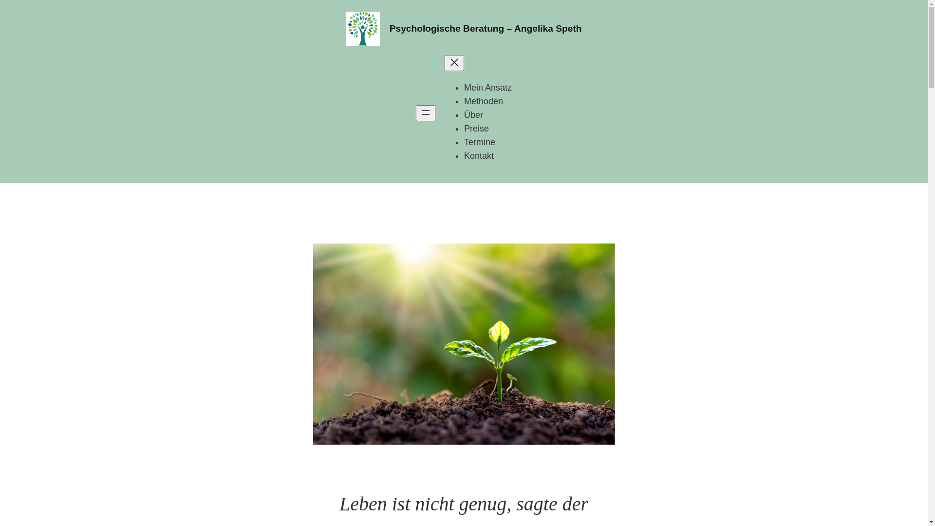 website screenshot of https://psychoberatungspeth.de/