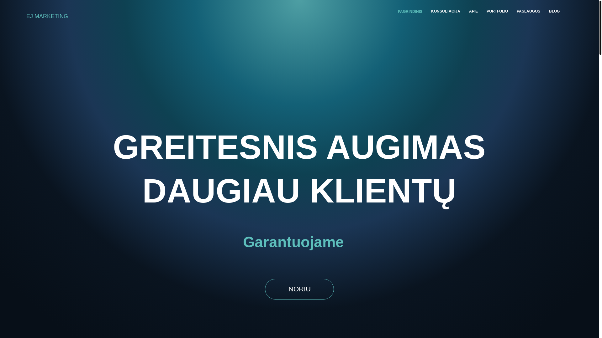 website screenshot of https://ejprojektai.lt/