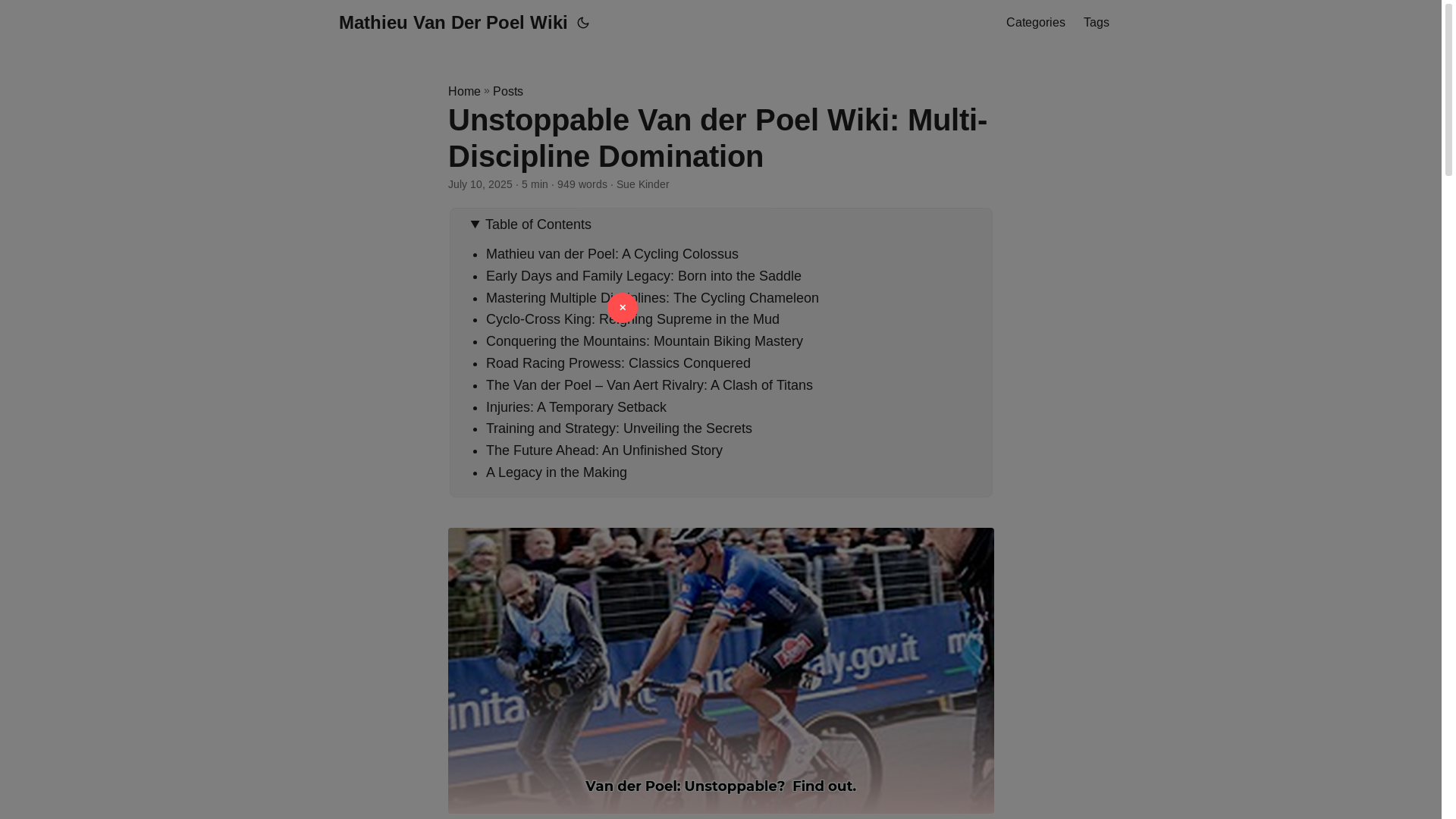 website screenshot of https://mathieu-van-der-poel-wiki.pages.dev/