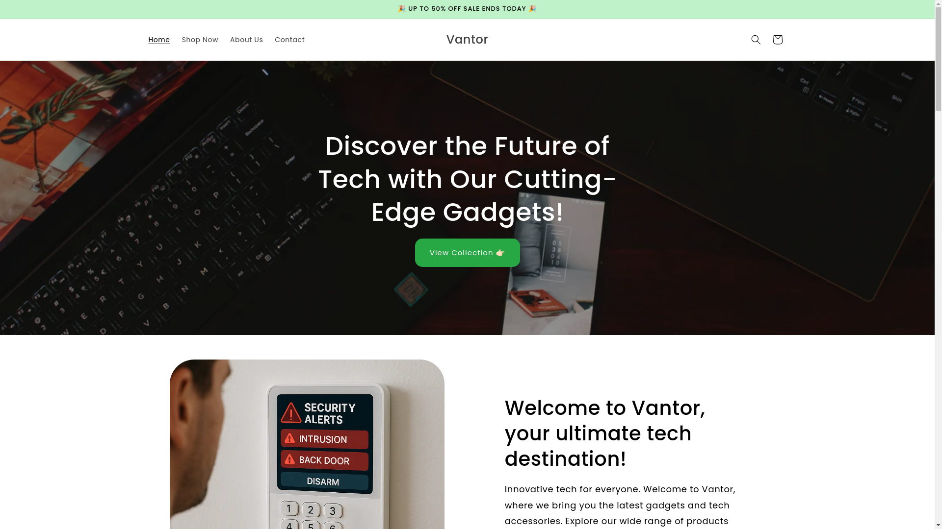 website screenshot of https://vantorhub.com/
