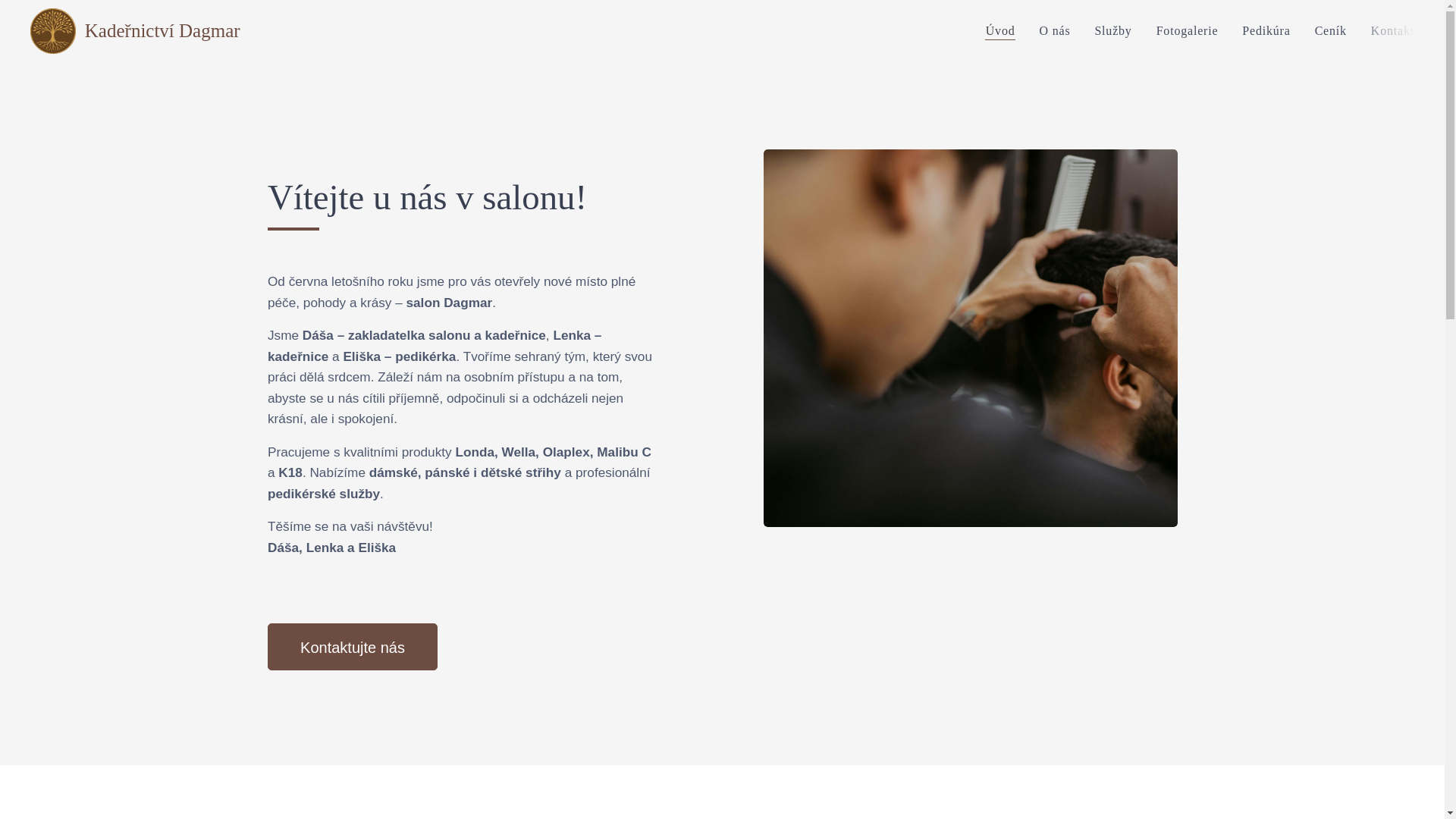 website screenshot of https://kadernictvi-dagmar.com/