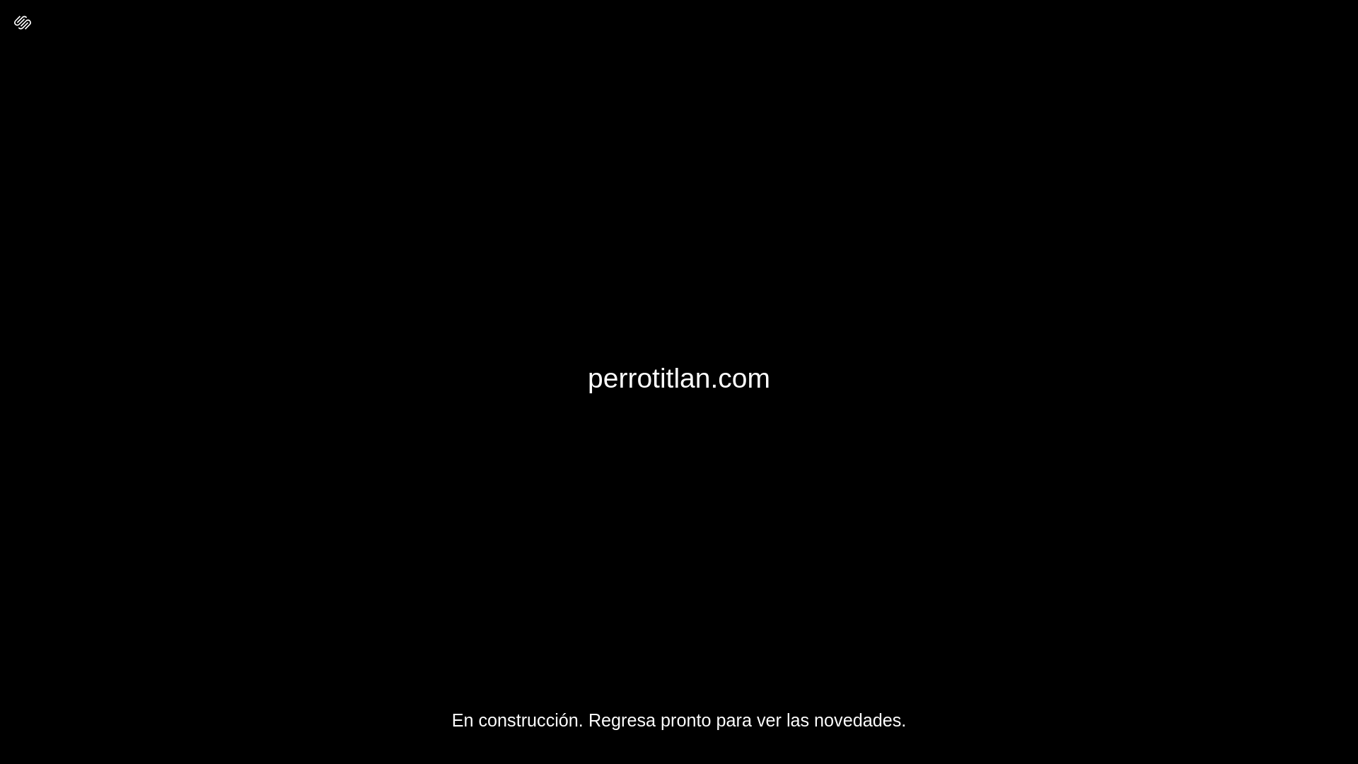 website screenshot of https://perrotitlan.com/