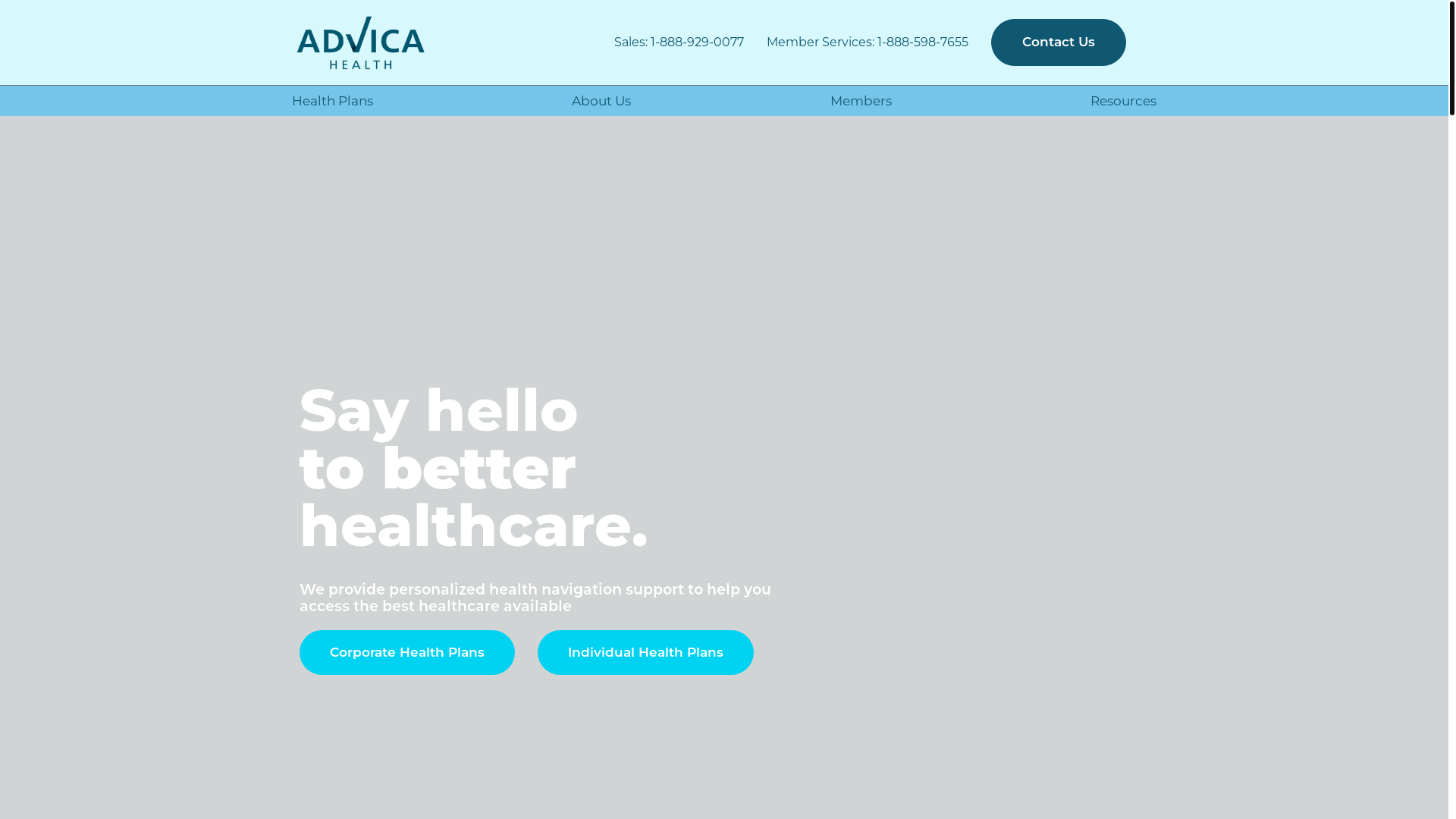 website screenshot of https://getadvica.com/