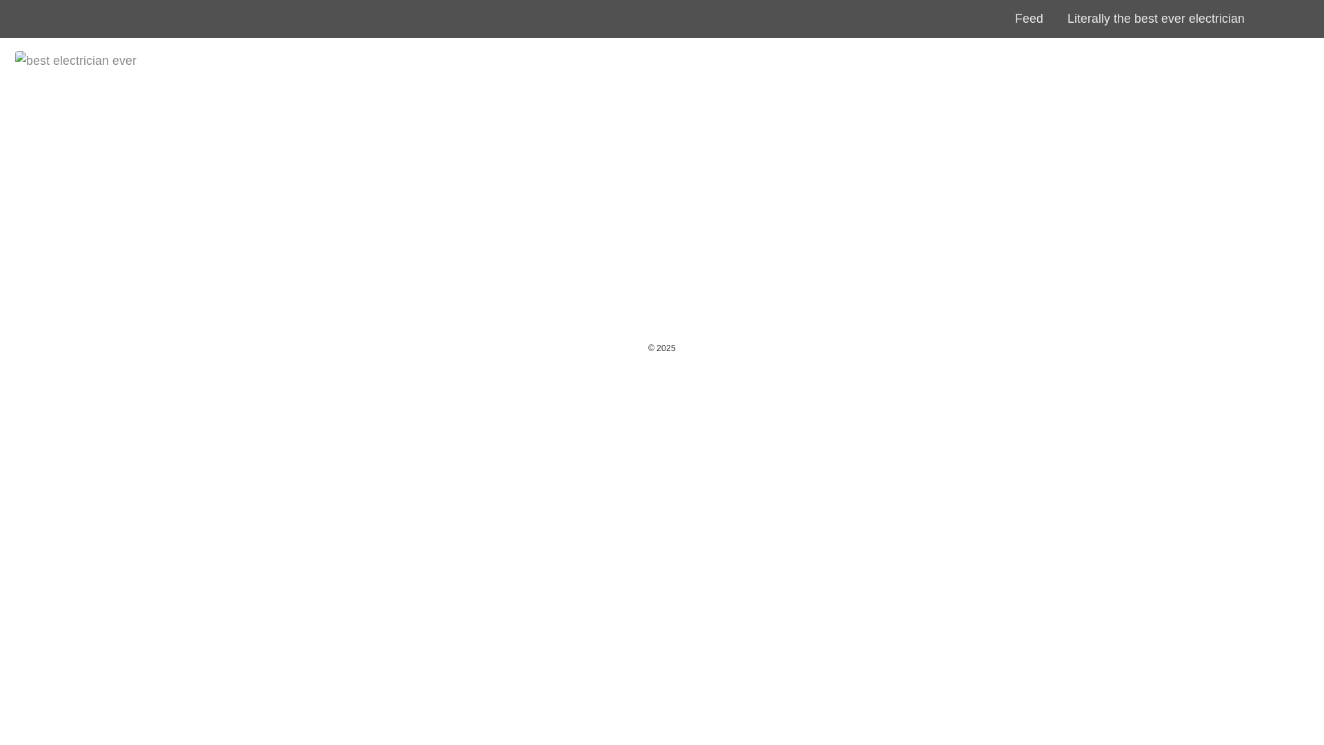 website screenshot of https://literallythebesteverelectrician.pages.dev/
