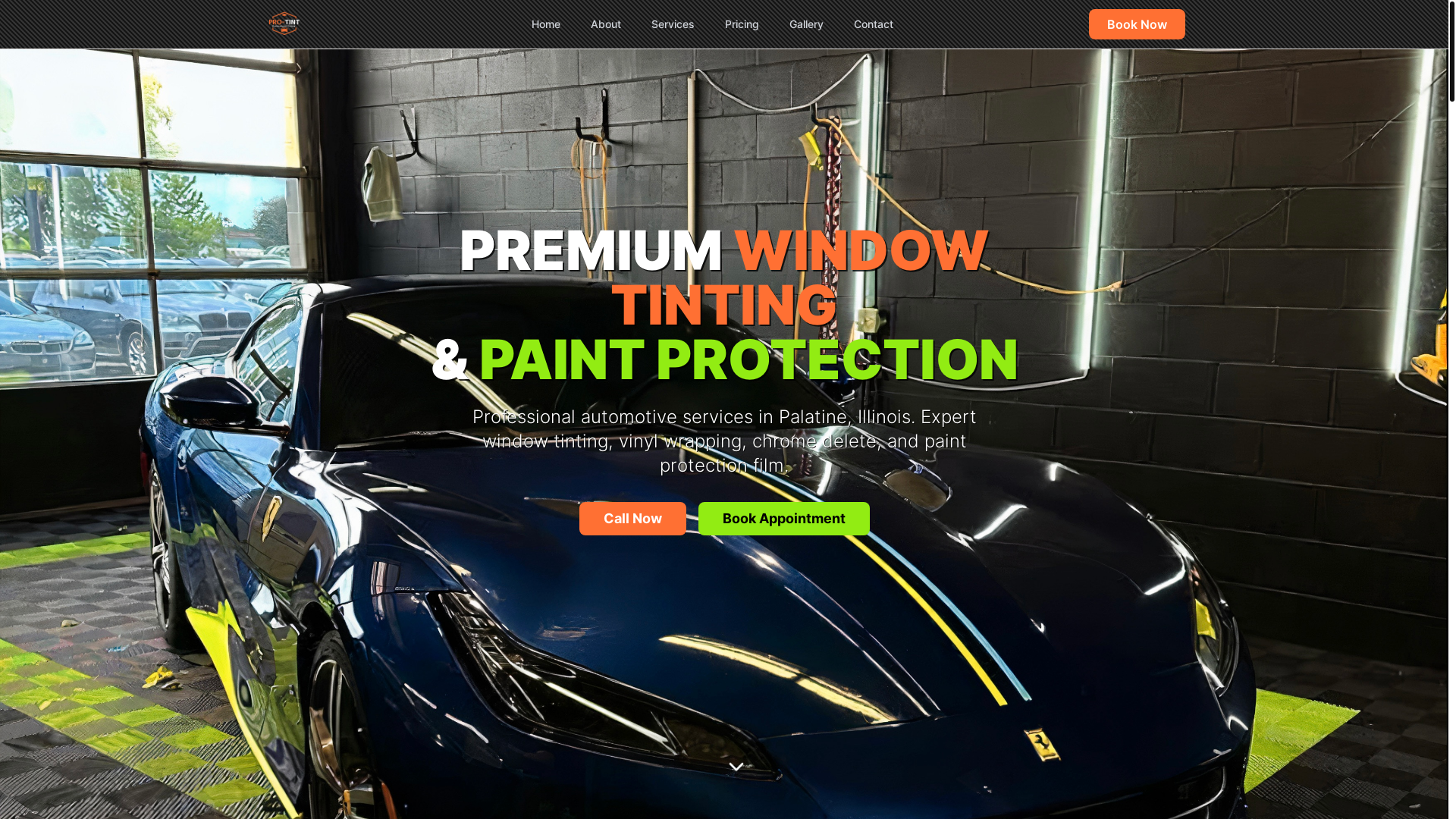 website screenshot of https://protintchicago.com/