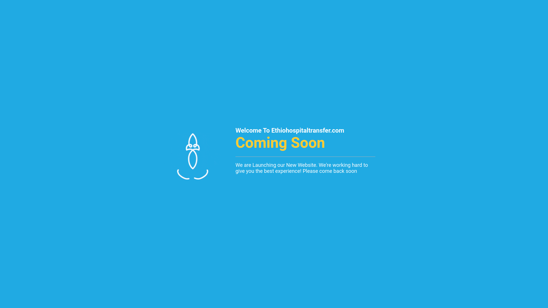 website screenshot of https://ethiohospitaltransfer.com/