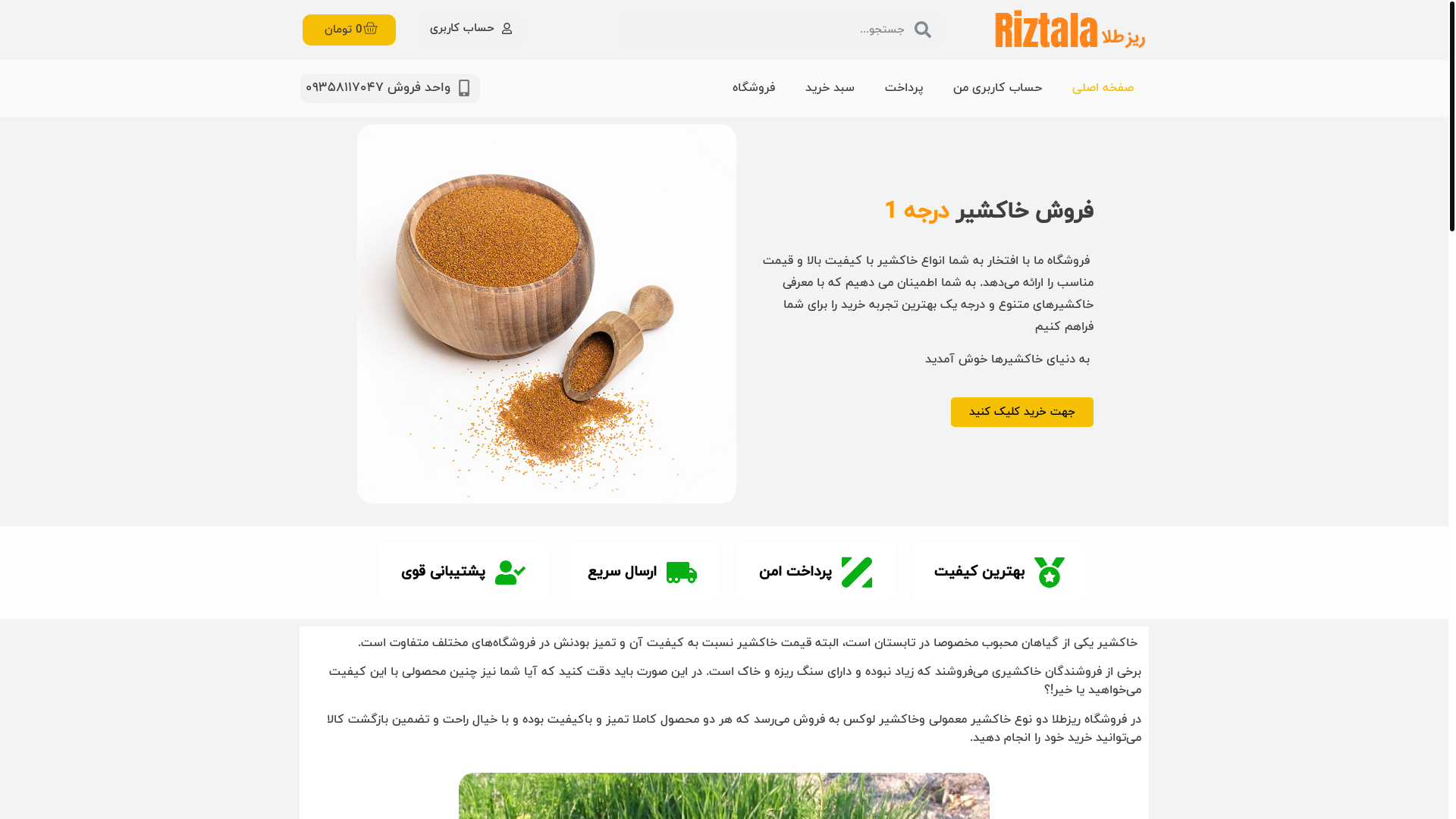 website screenshot of https://riztala.ir/