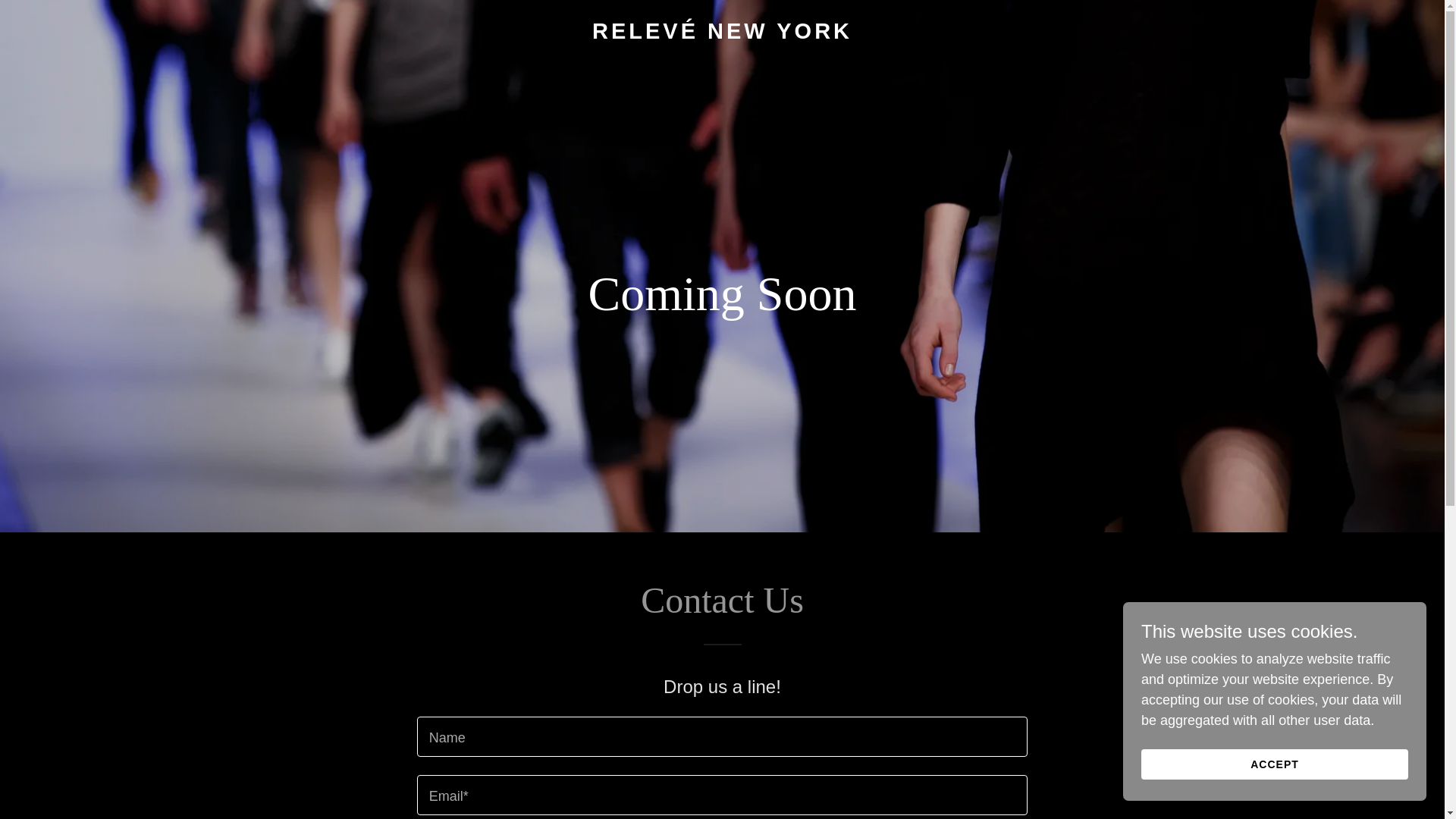 website screenshot of https://relevenewyork.com/