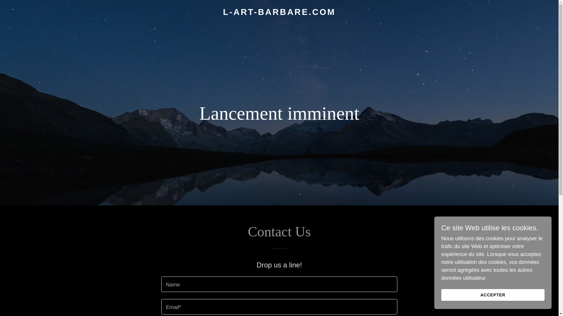 website screenshot of https://l-art-barbare.com/