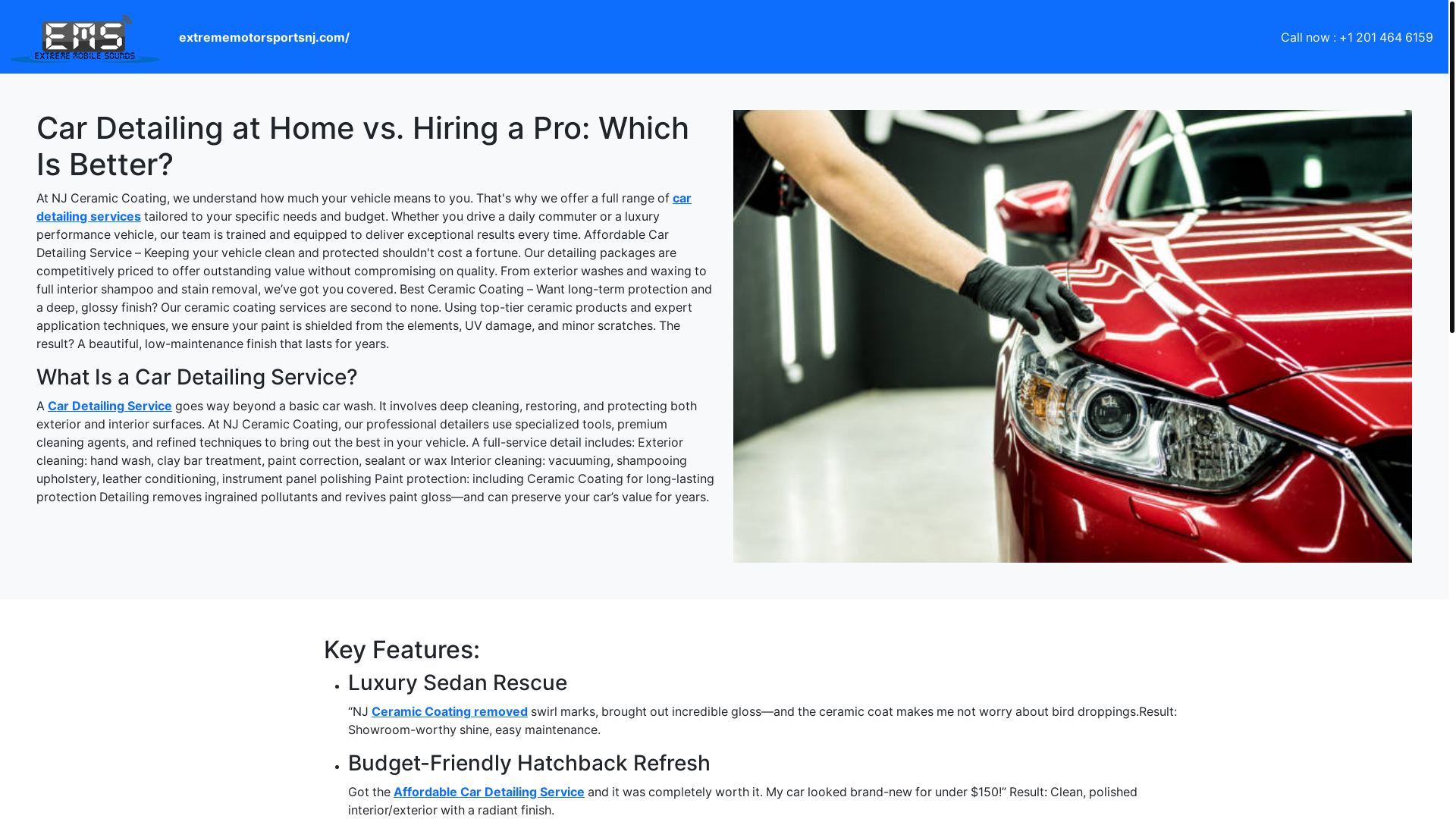 website screenshot of https://cardetailingathomevshiringaprowhichisbetter.pages.dev/