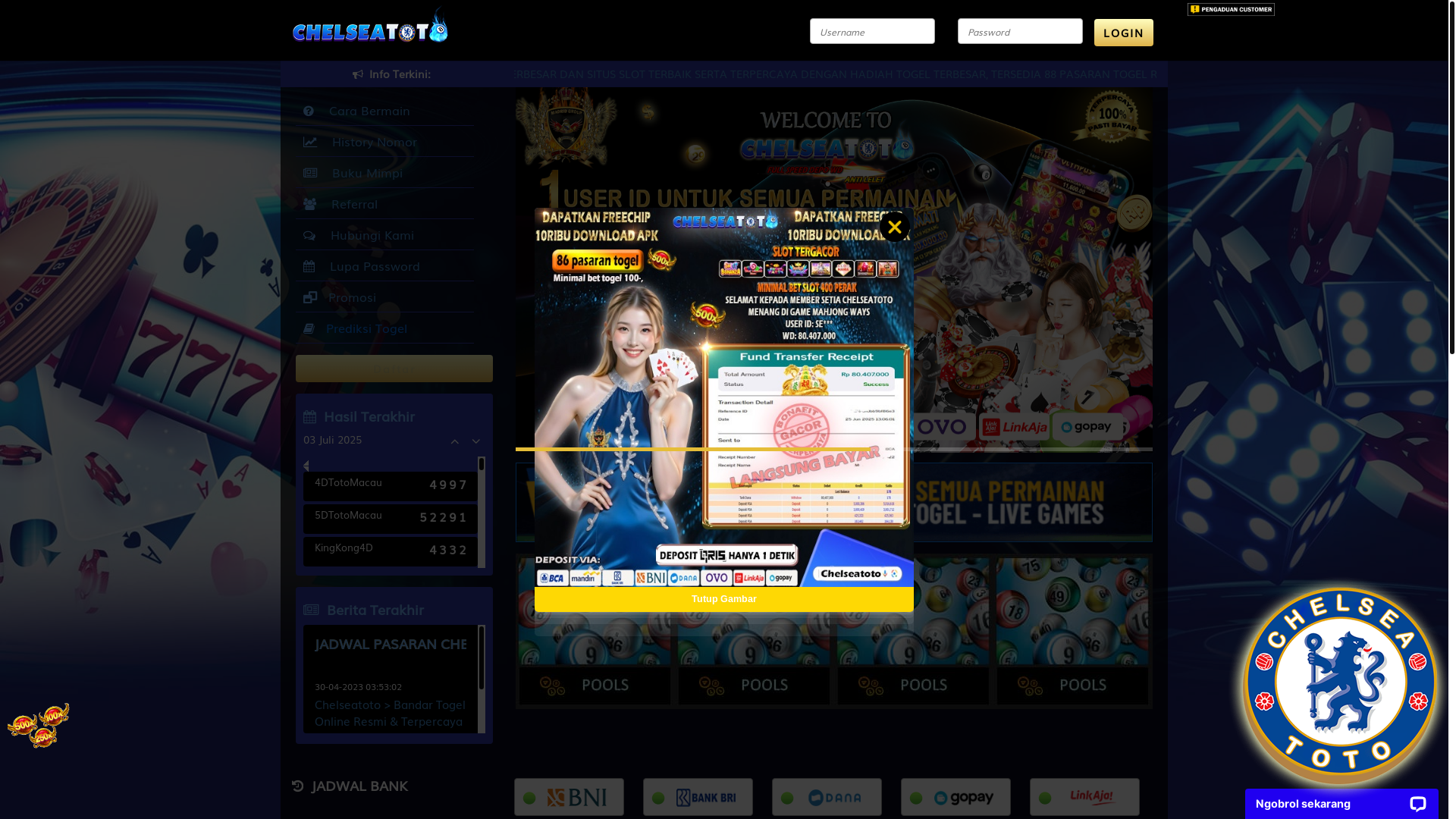 website screenshot of https://chelseatobrut858.com/
