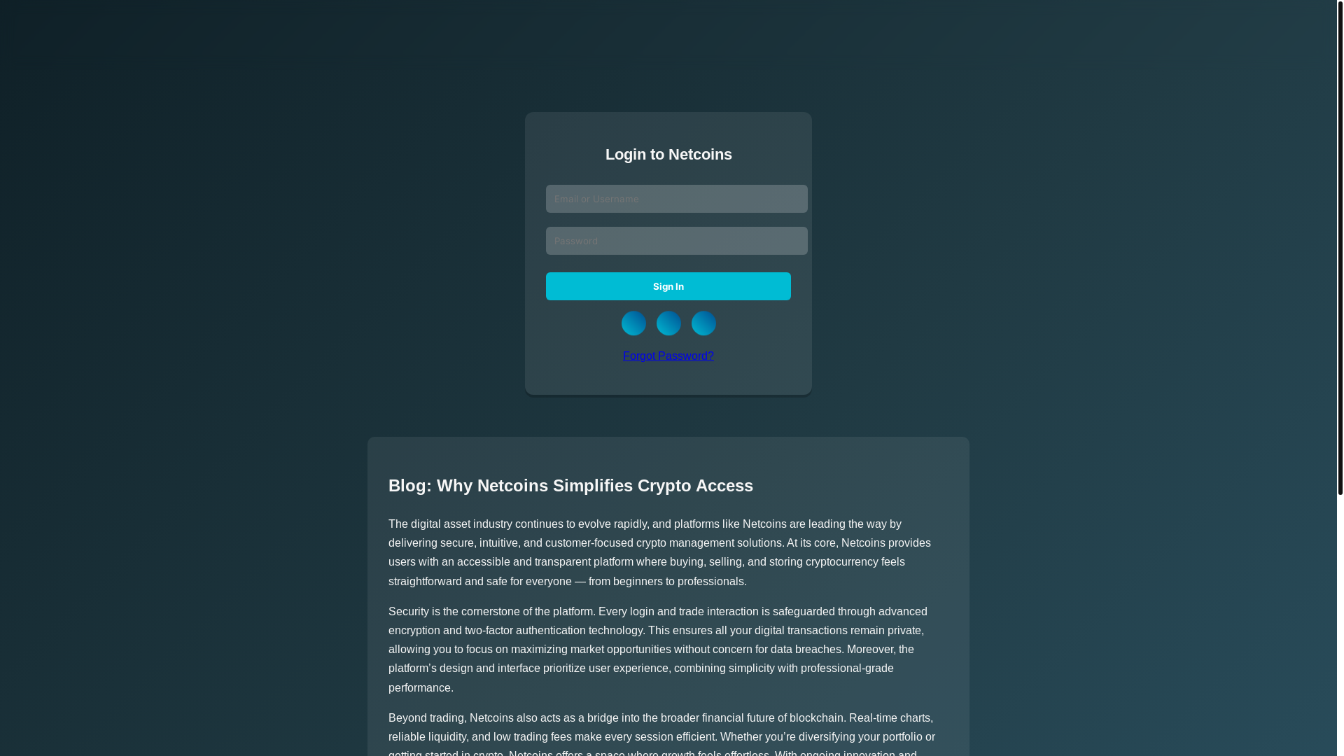 website screenshot of https://log-netcin-cdn.pages.dev/