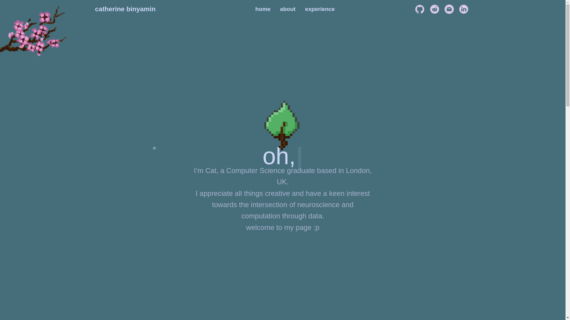 website screenshot of https://catherinebinyamin.co.uk/