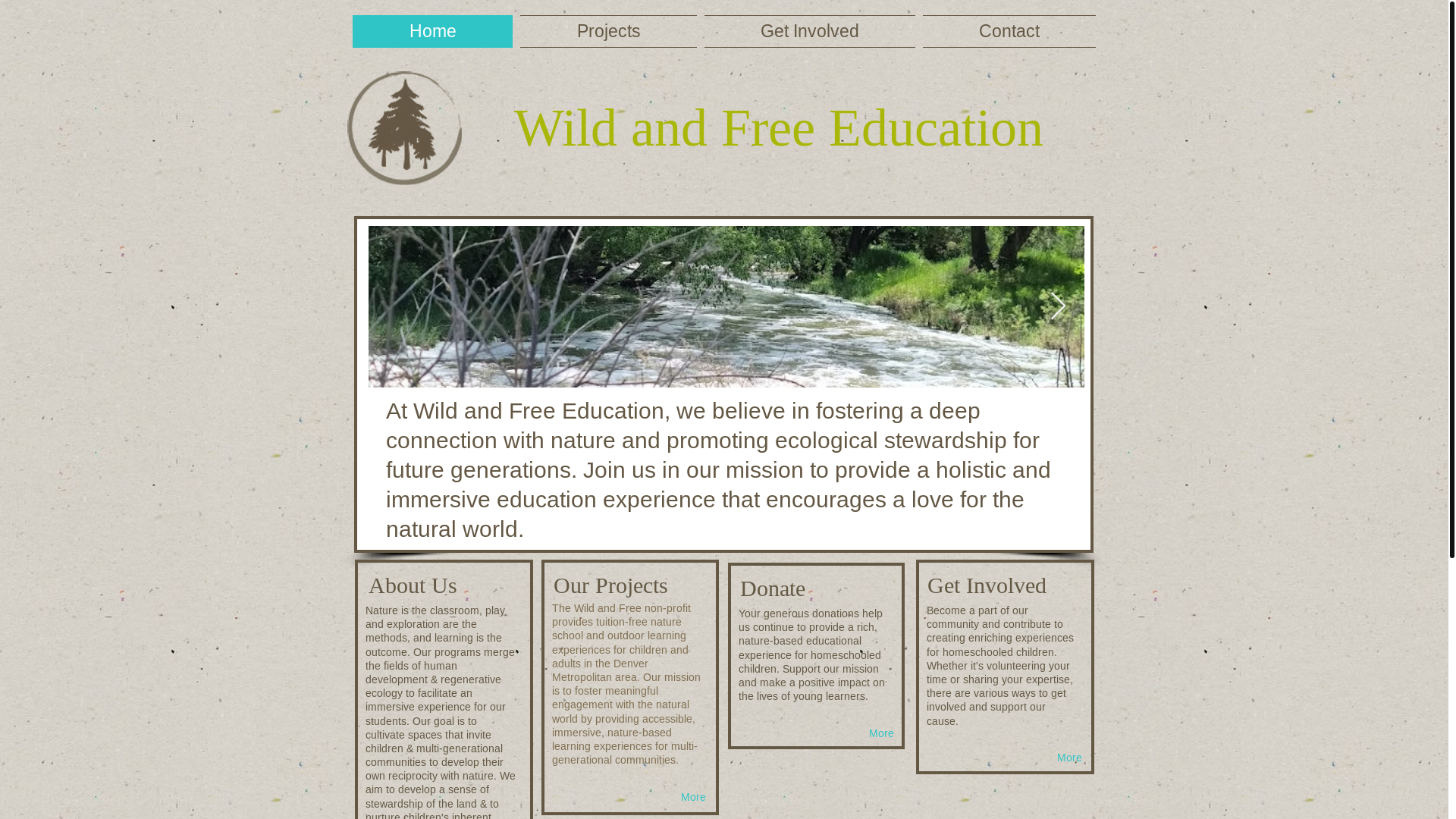 website screenshot of https://wildandfreeedu.com/