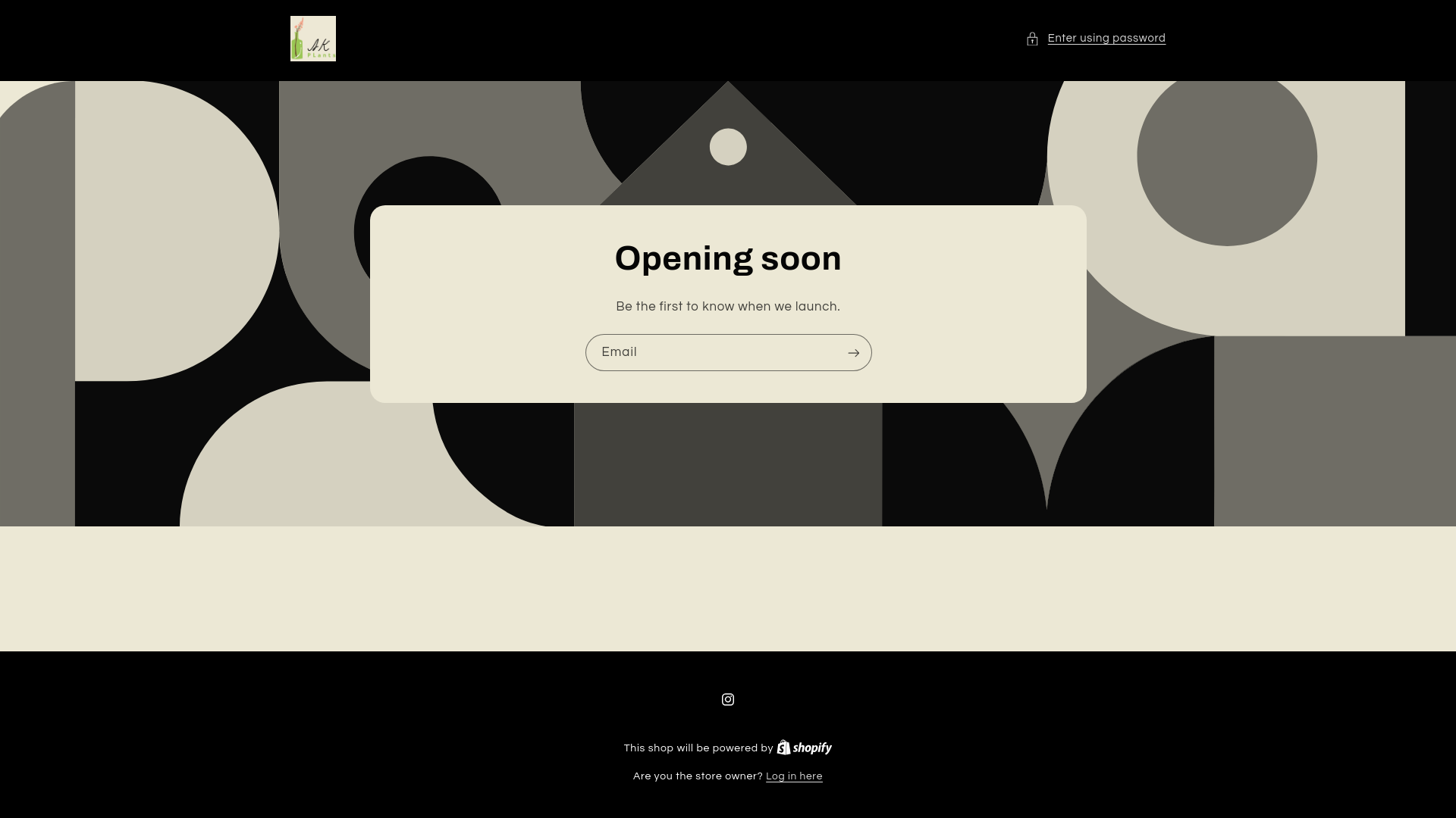 website screenshot of https://akplantspk.com/