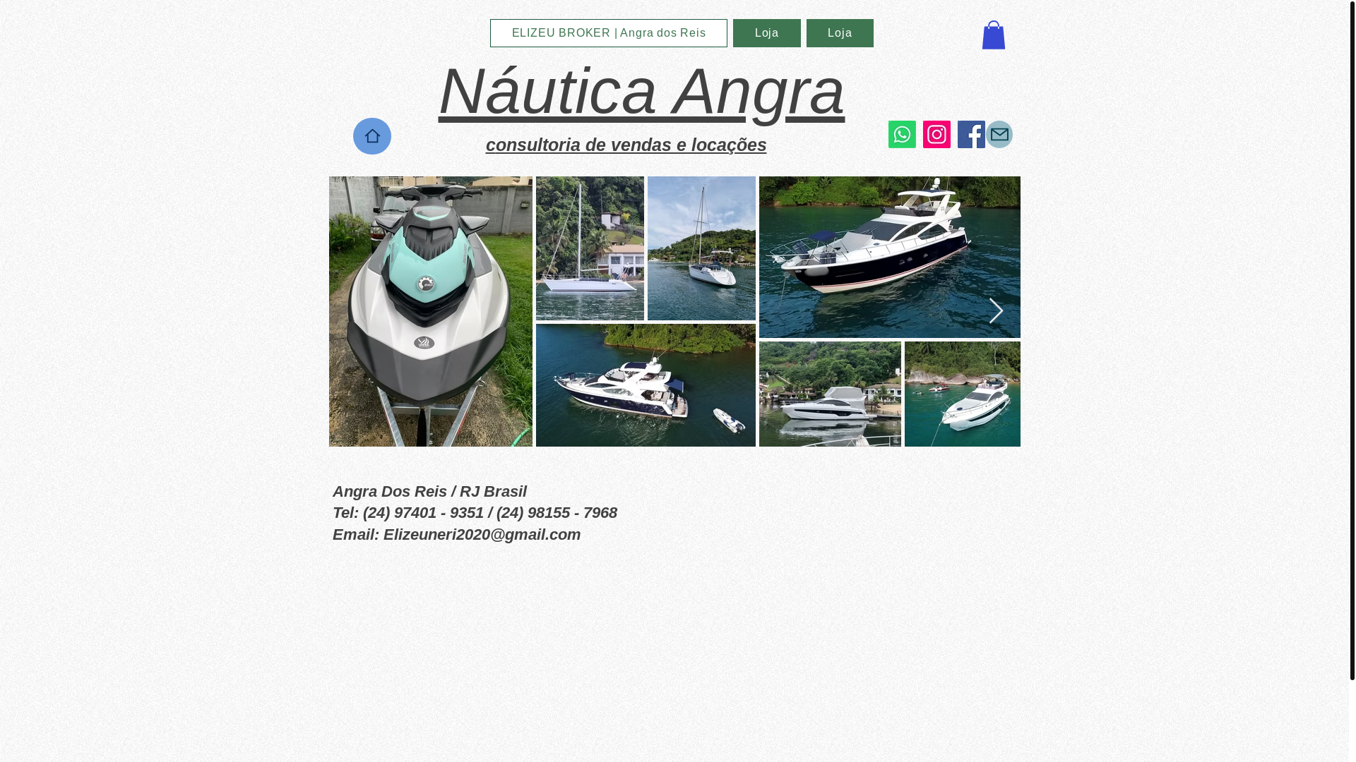 website screenshot of https://elizeubroker.com/