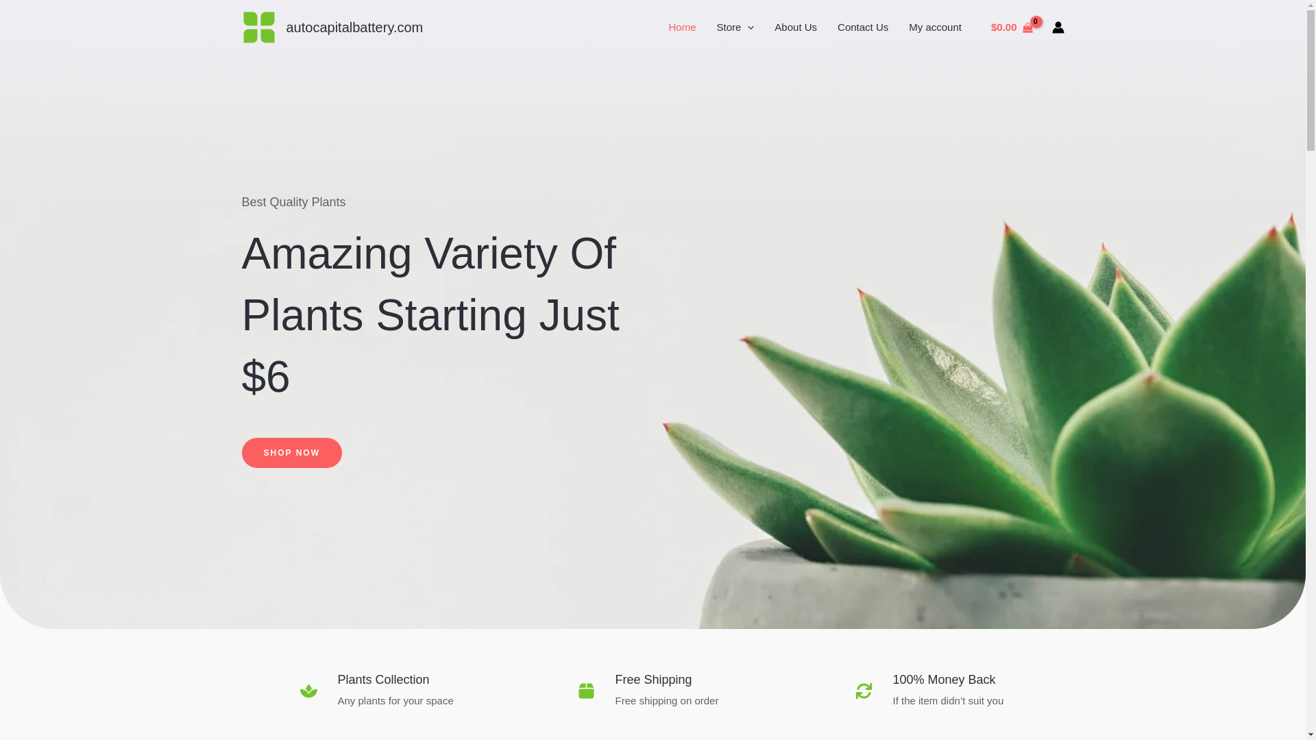 website screenshot of https://autocapitalbattery.com/