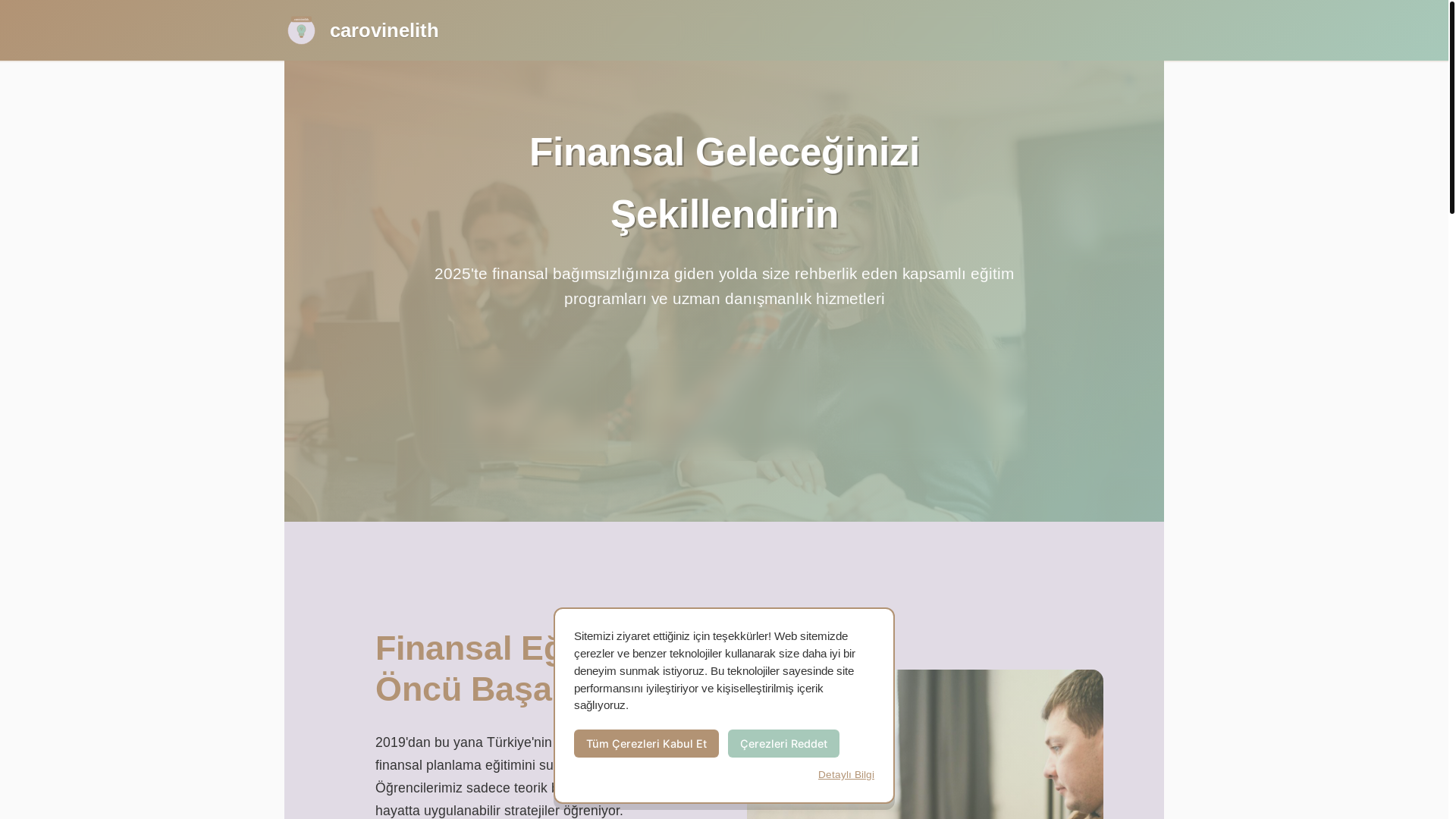 website screenshot of https://carovinelith.com/