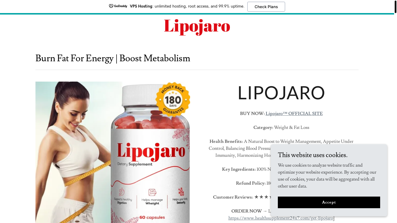 website screenshot of https://lipojaro.godaddysites.com/