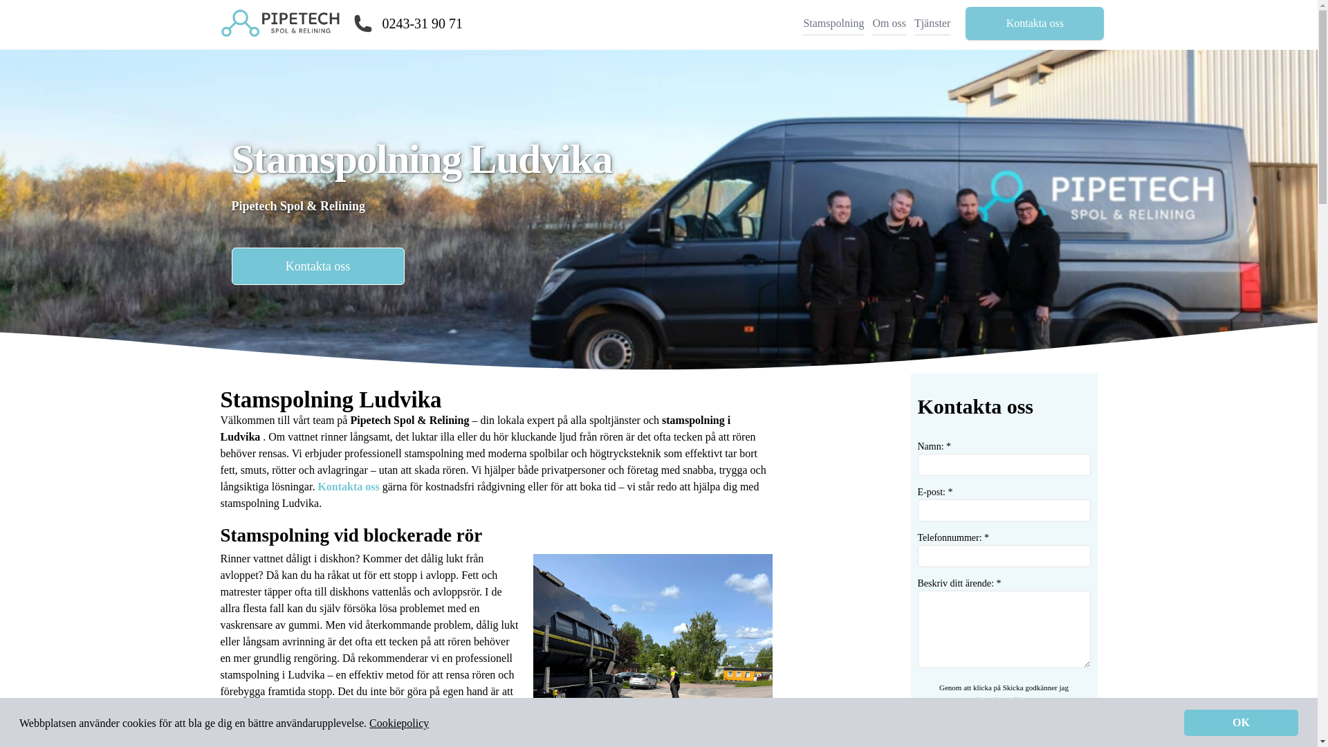 website screenshot of https://stamspolning-ludvika.se/