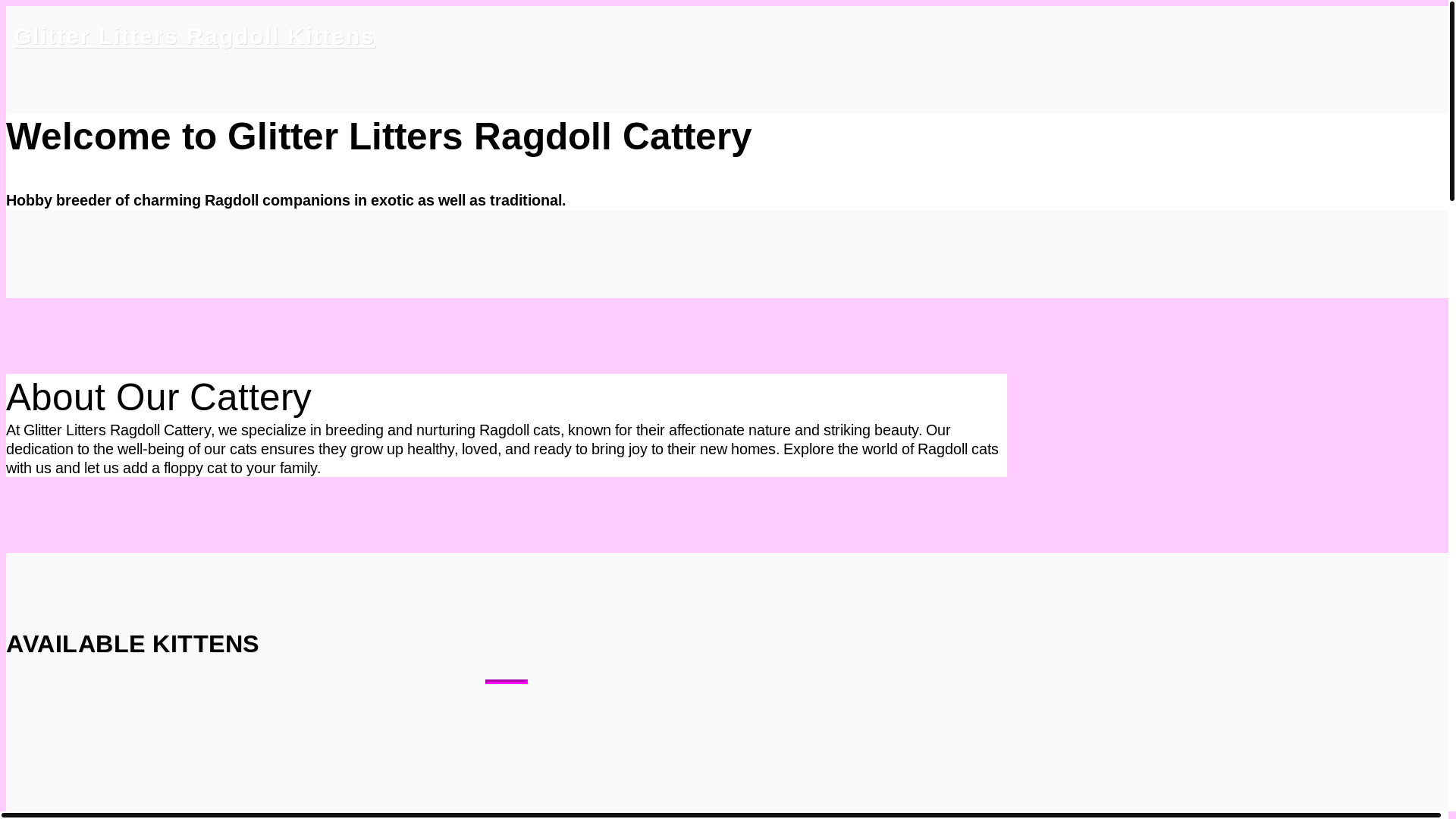 website screenshot of https://glitterlitterragdollkittens.com/