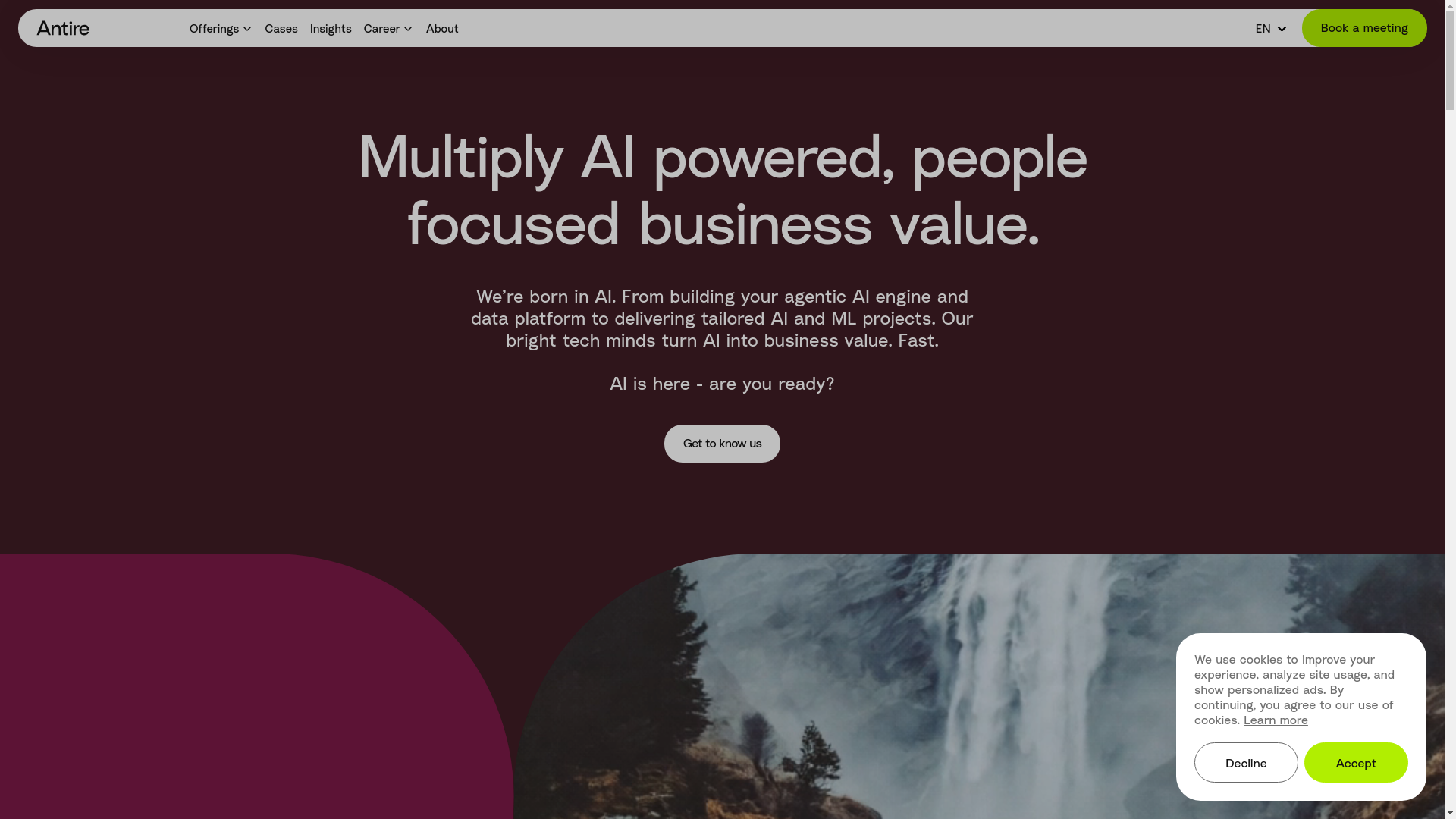website screenshot of https://antire.eu/