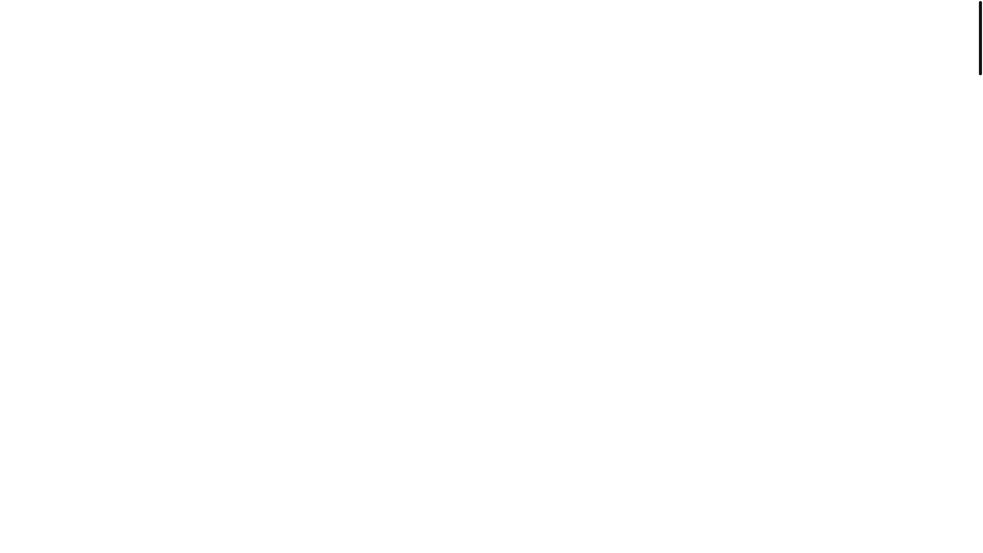 website screenshot of https://elementalpk.store/