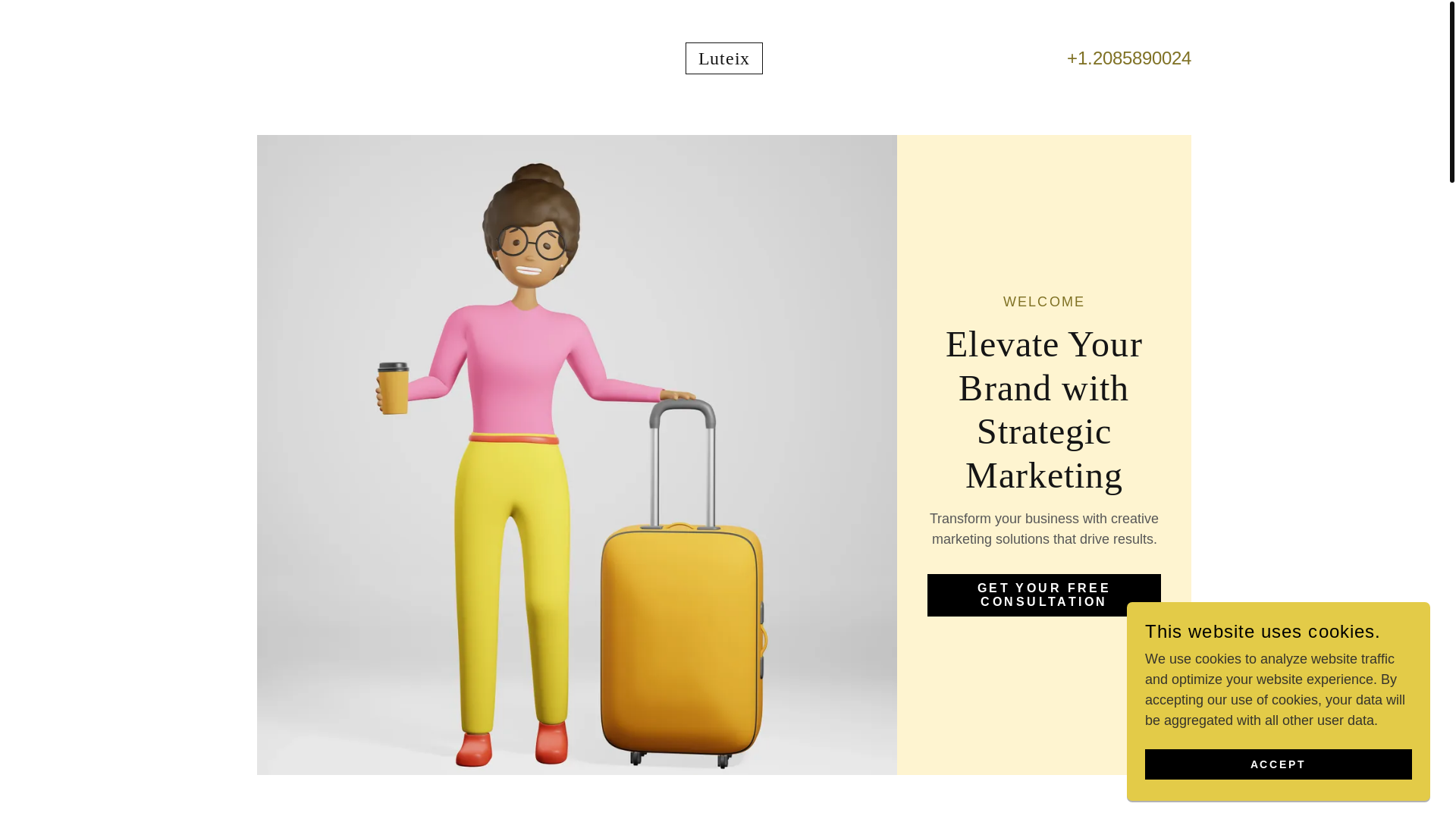 website screenshot of https://luteix.com/