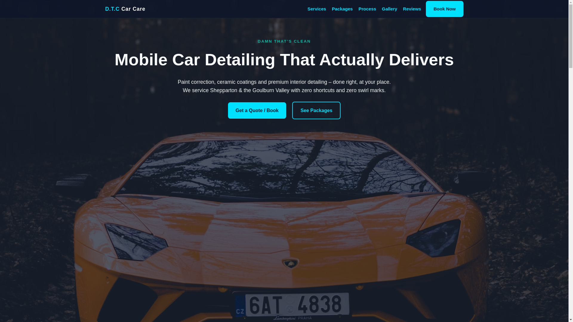 website screenshot of https://damnthatscleancarcare.com/