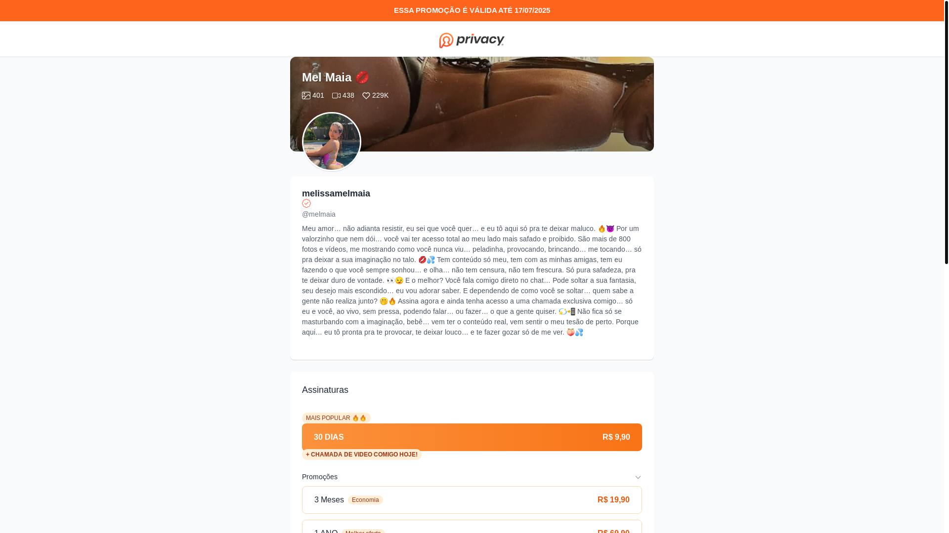 website screenshot of https://acessovippremium.online/
