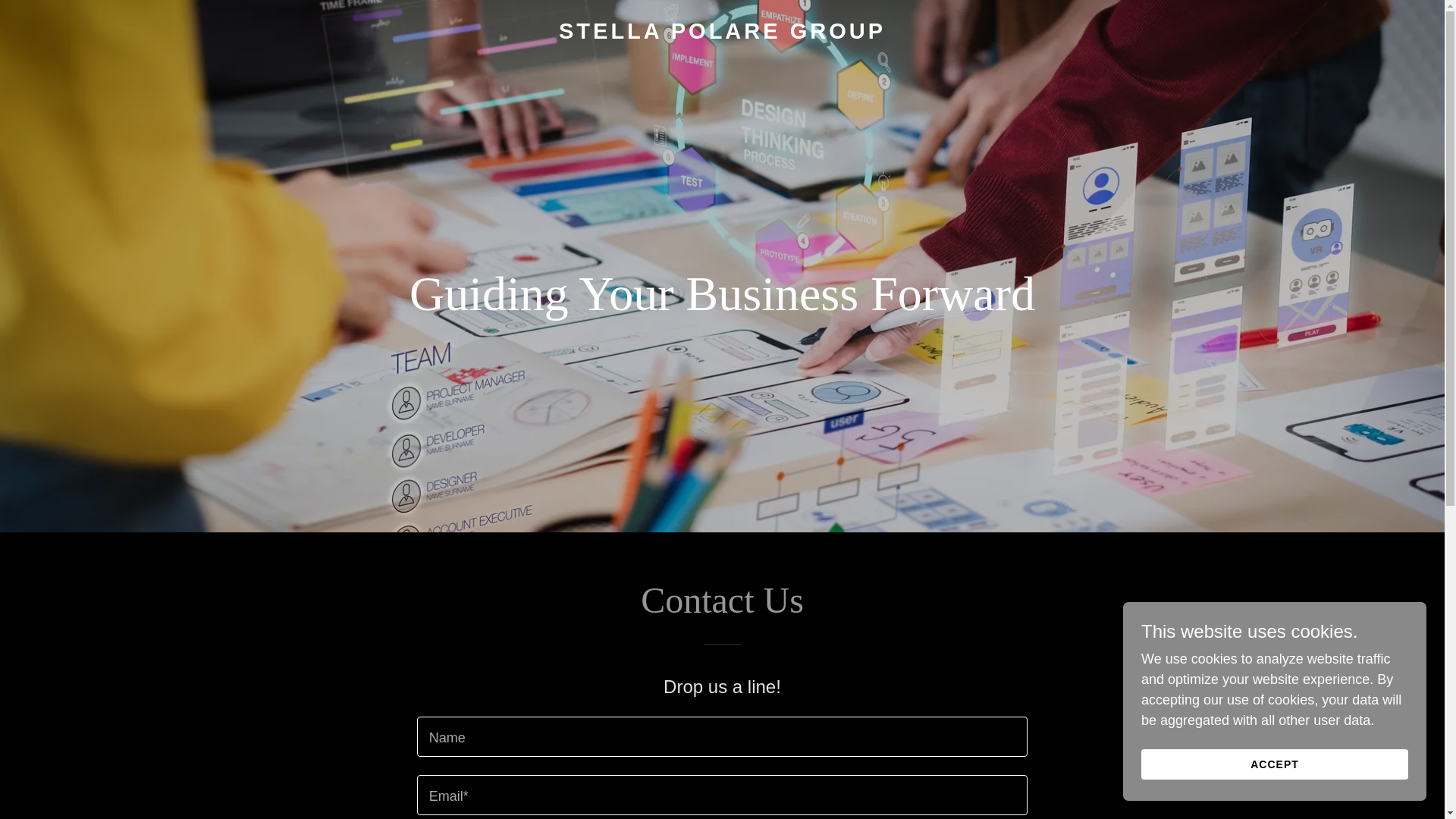 website screenshot of https://stellapolaregroup.com/