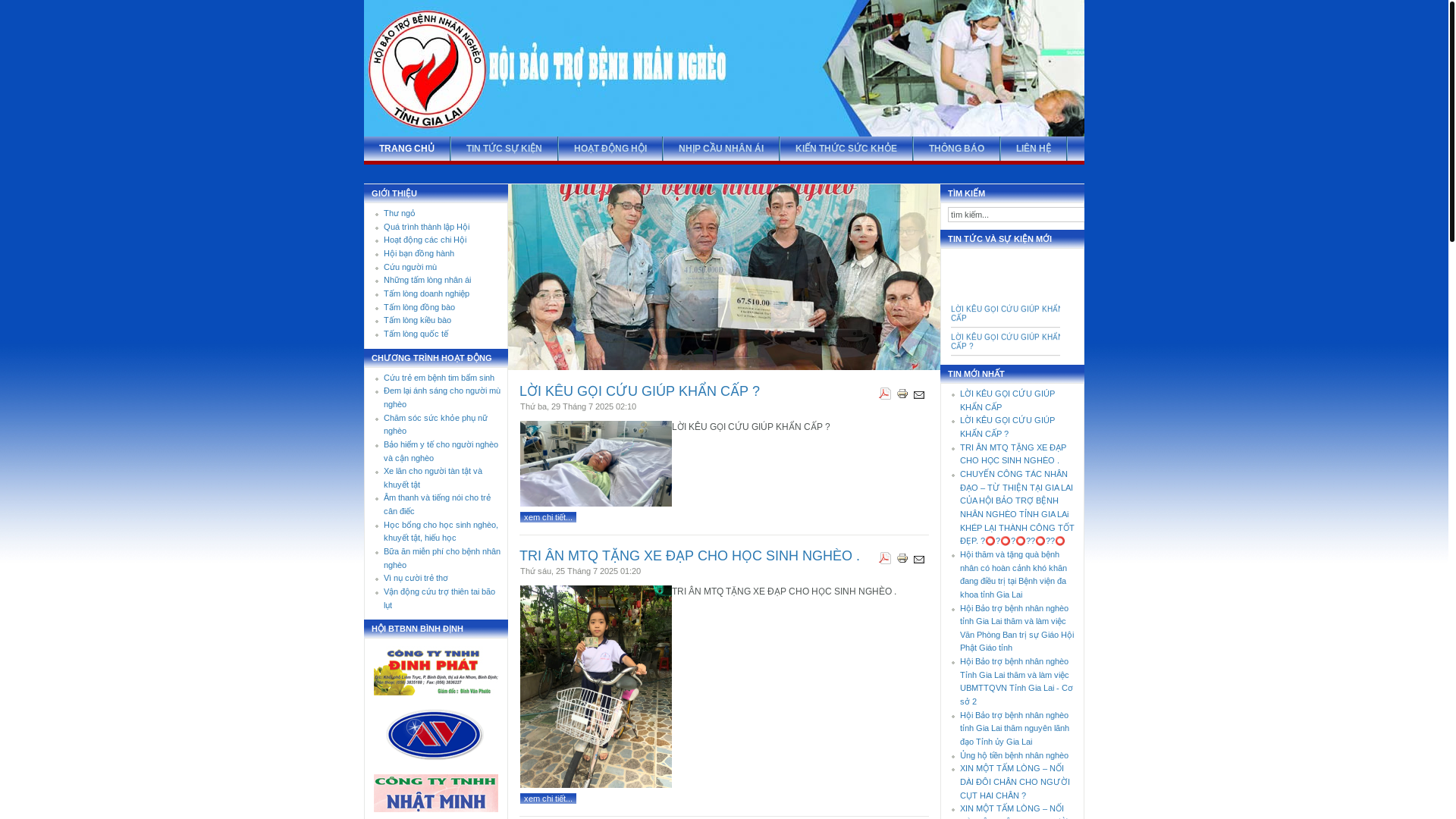 website screenshot of https://hoibaotrobenhnhanngheogialai.org/