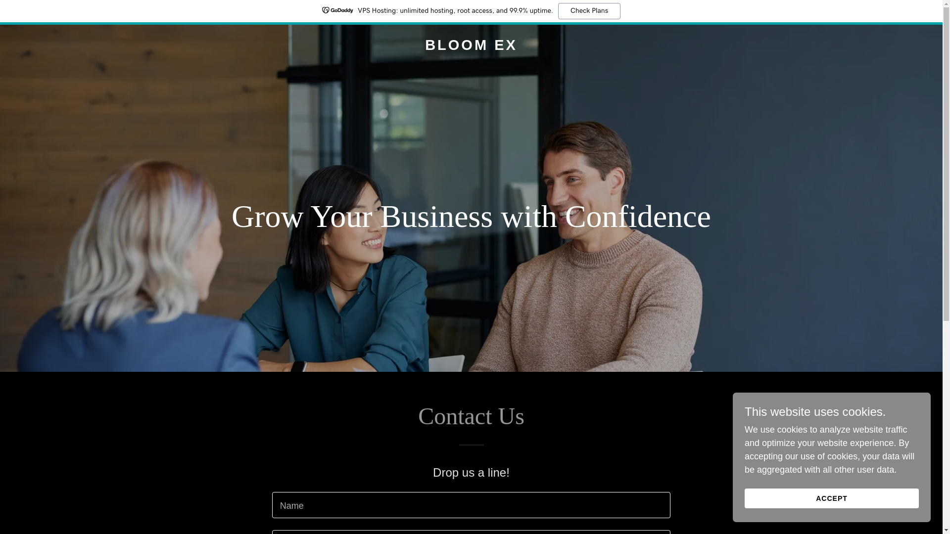 website screenshot of https://bloom-ex.com/