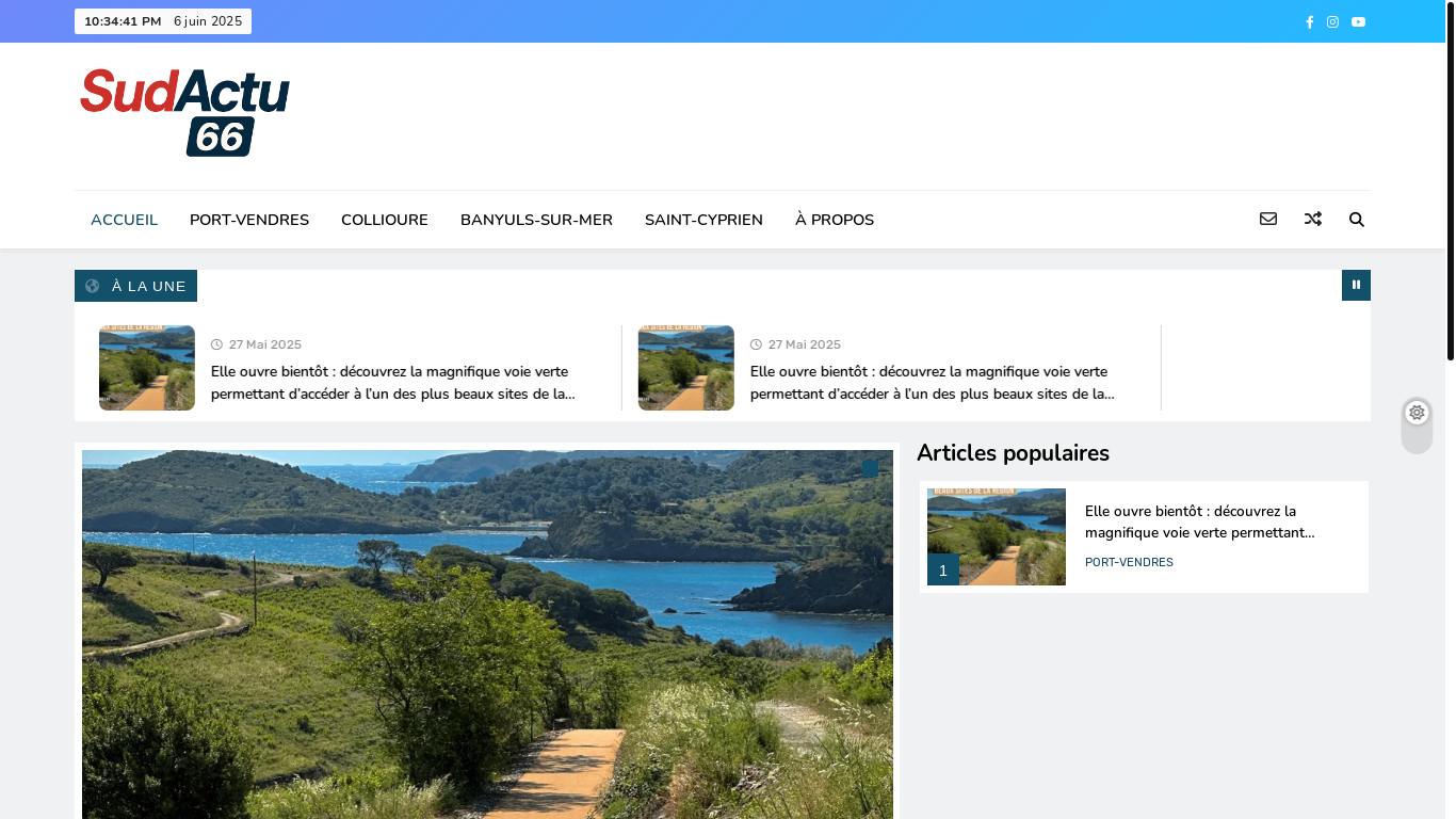 website screenshot of https://sudactu66.fr/