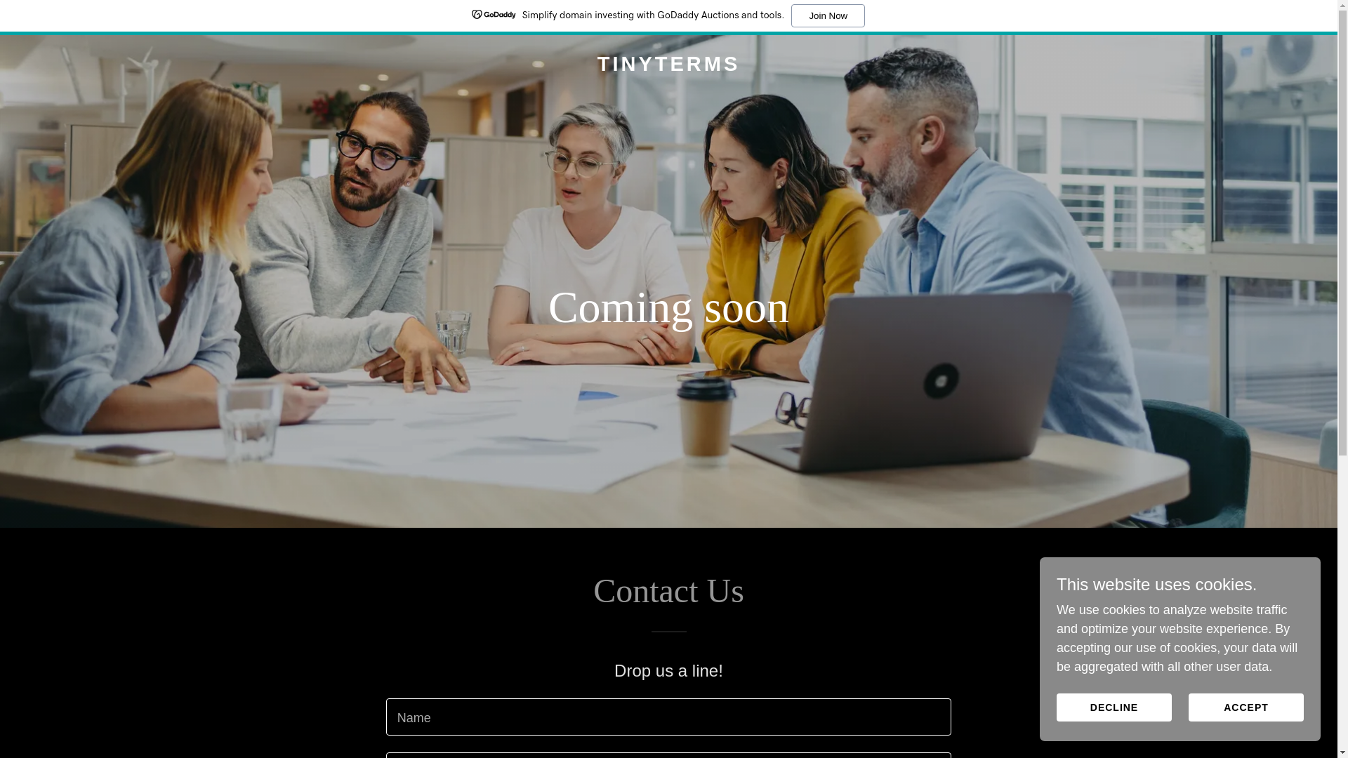 website screenshot of https://thetinyterms.com/