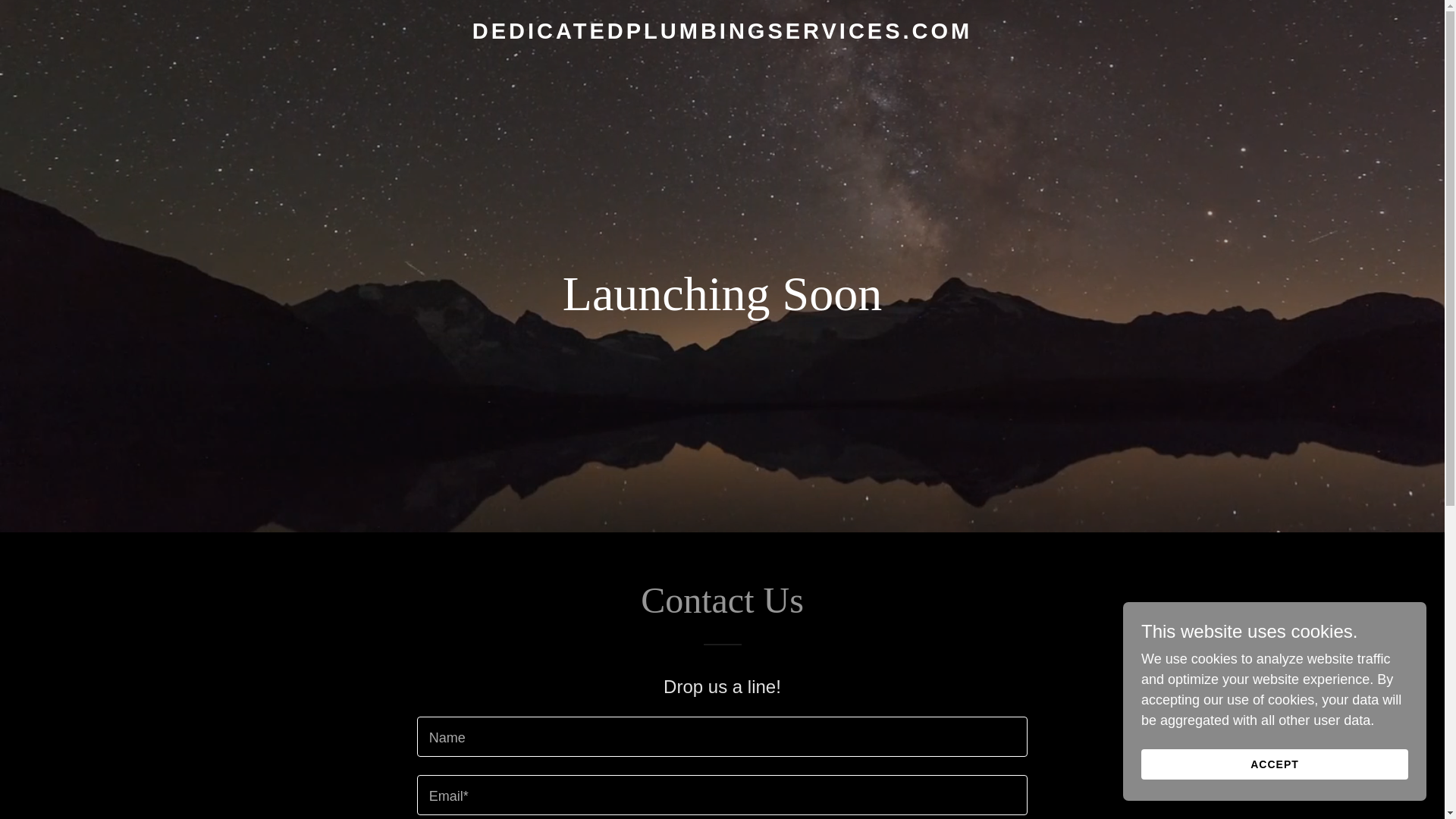 website screenshot of https://dedicatedplumbingservices.com/