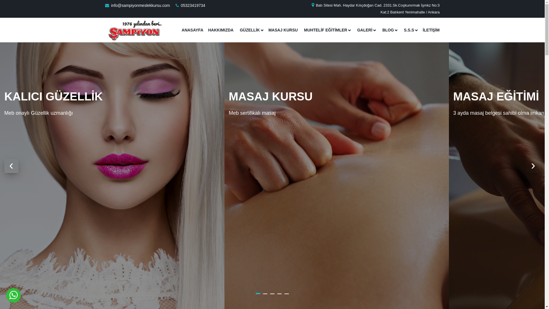 website screenshot of https://sampiyonmeslekkursu.com/