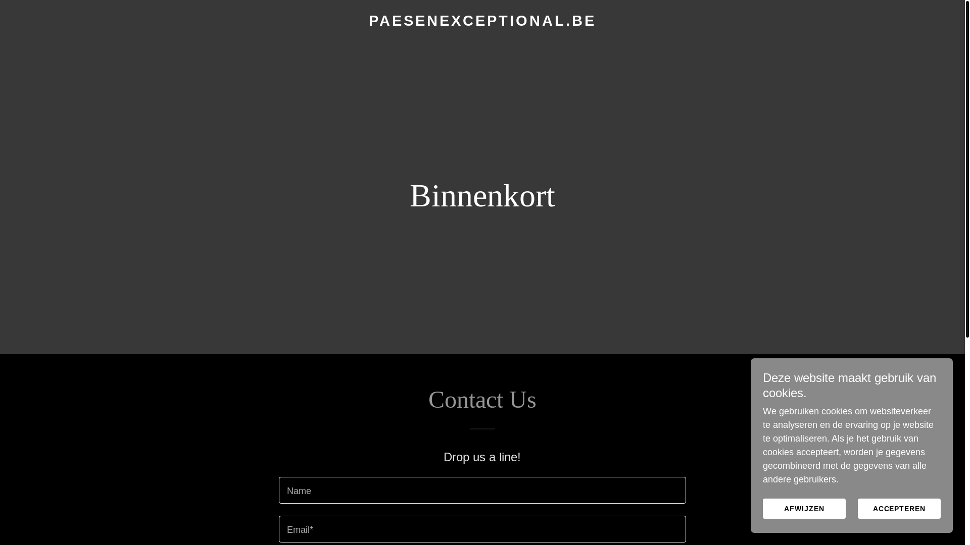 website screenshot of https://paesenexceptional.be/