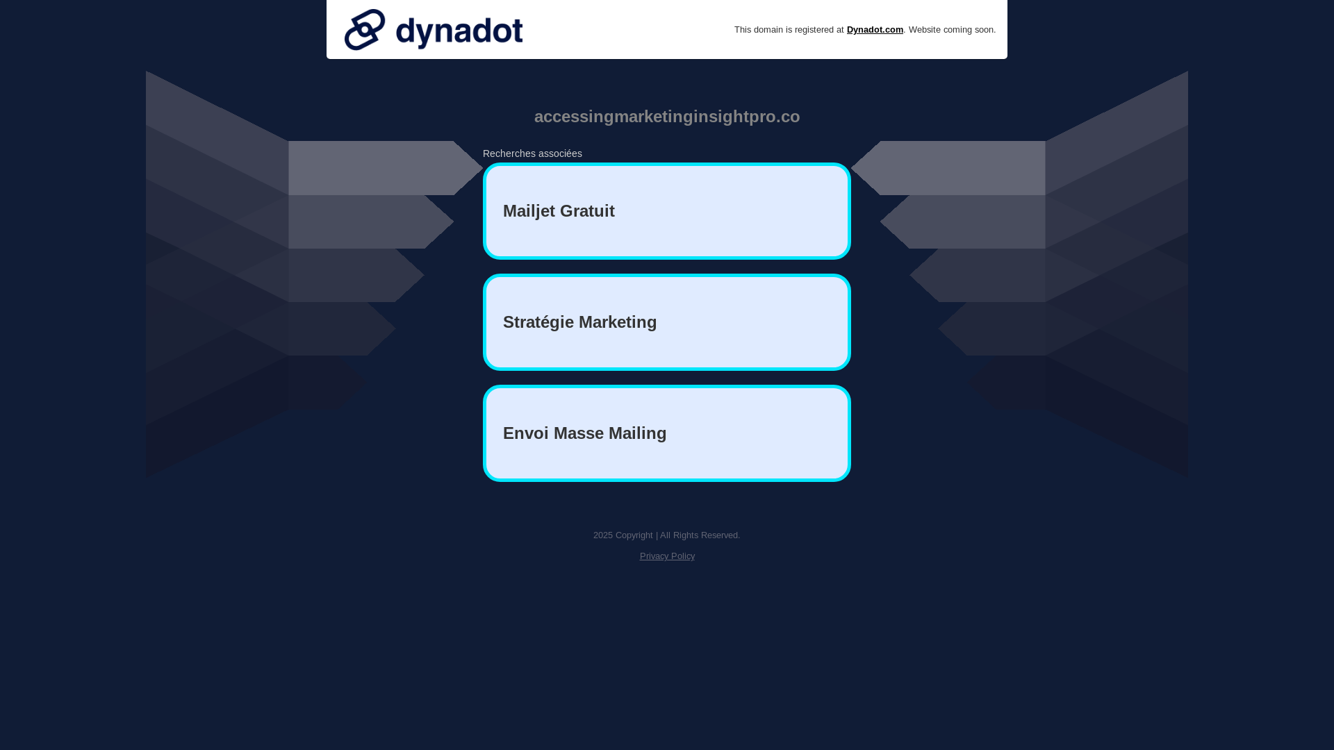 website screenshot of https://accessingmarketinginsightpro.co/