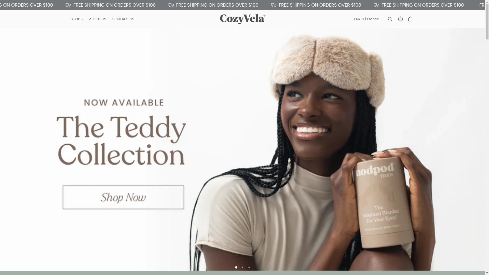 website screenshot of https://cozyvela.com/