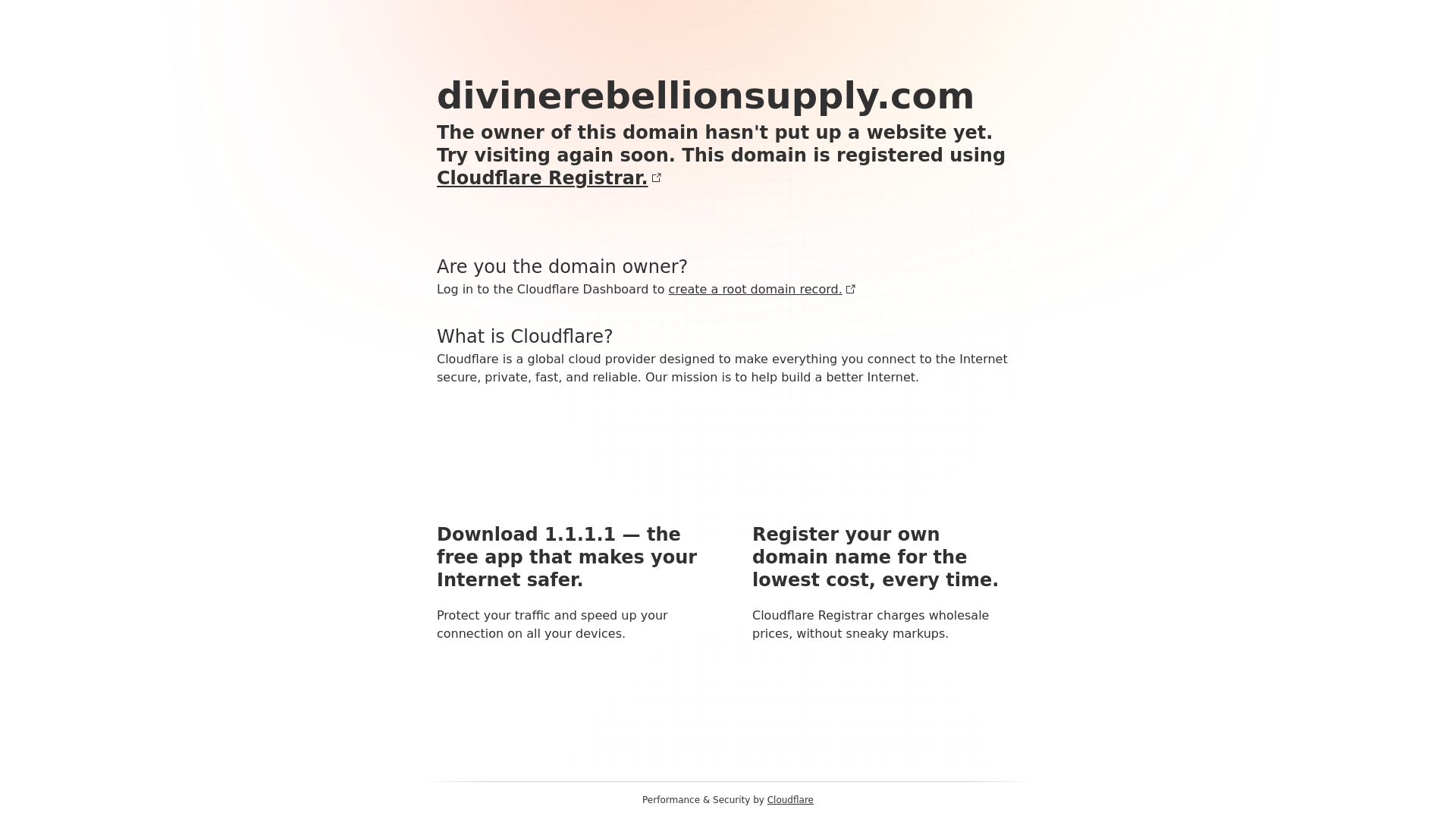 website screenshot of https://divinerebellionsupply.com/