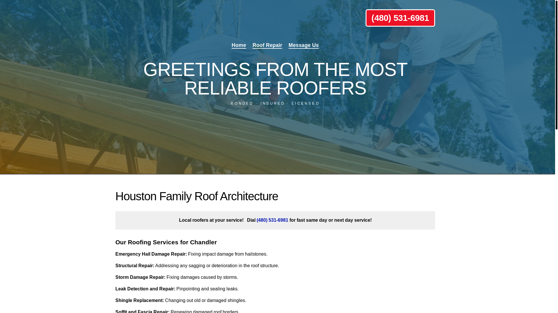 website screenshot of https://houston-roofing.pro/