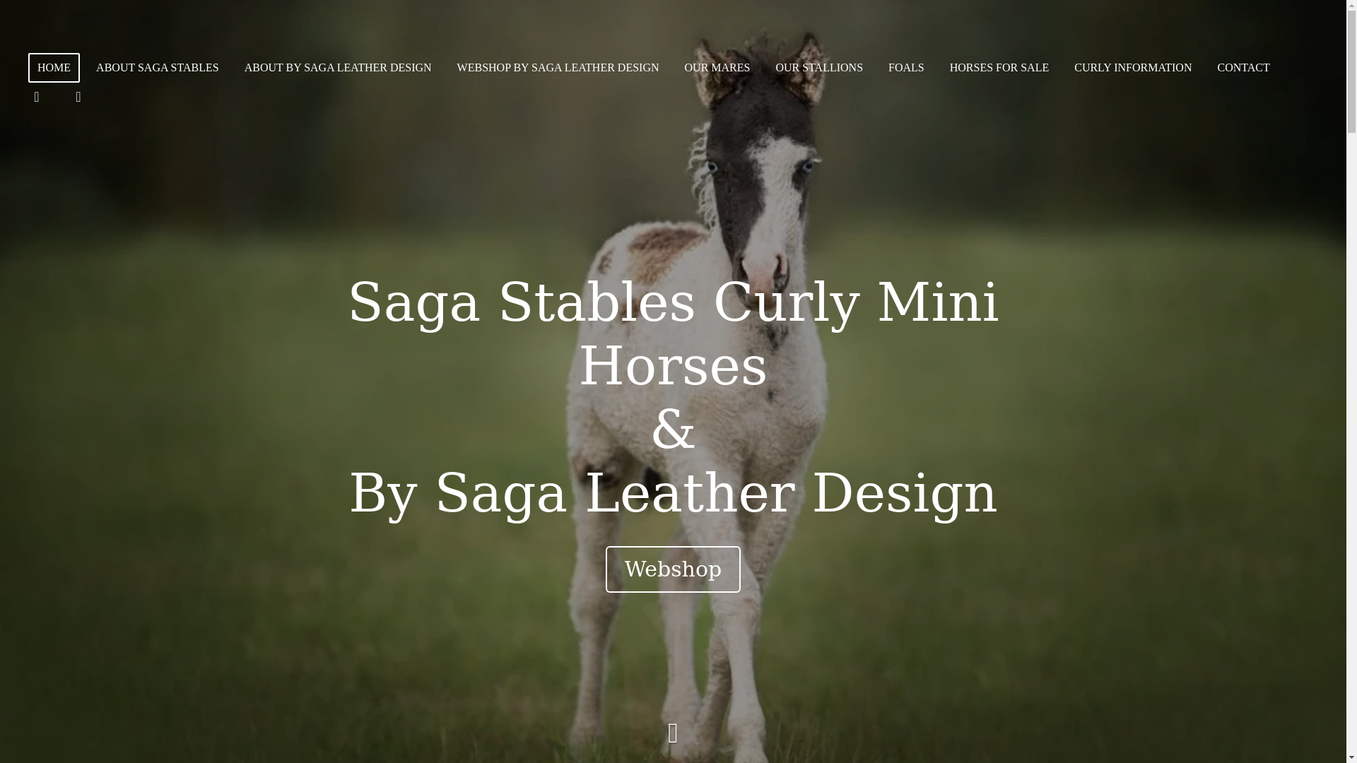 website screenshot of https://bysaga-leatherdesign.com/