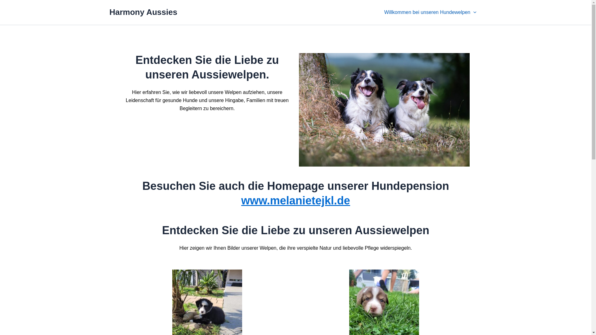 website screenshot of https://harmonyaussies.de/