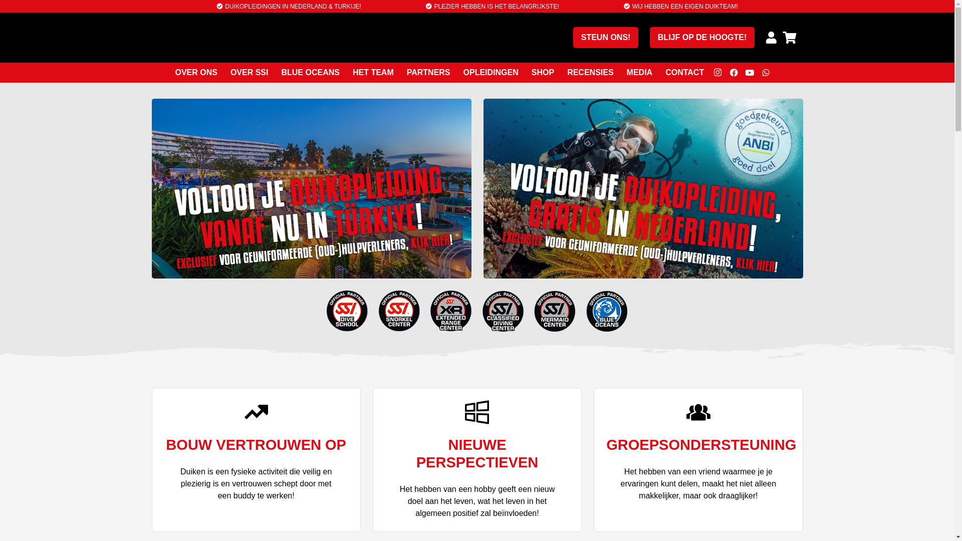 website screenshot of https://gulhasirci.com/